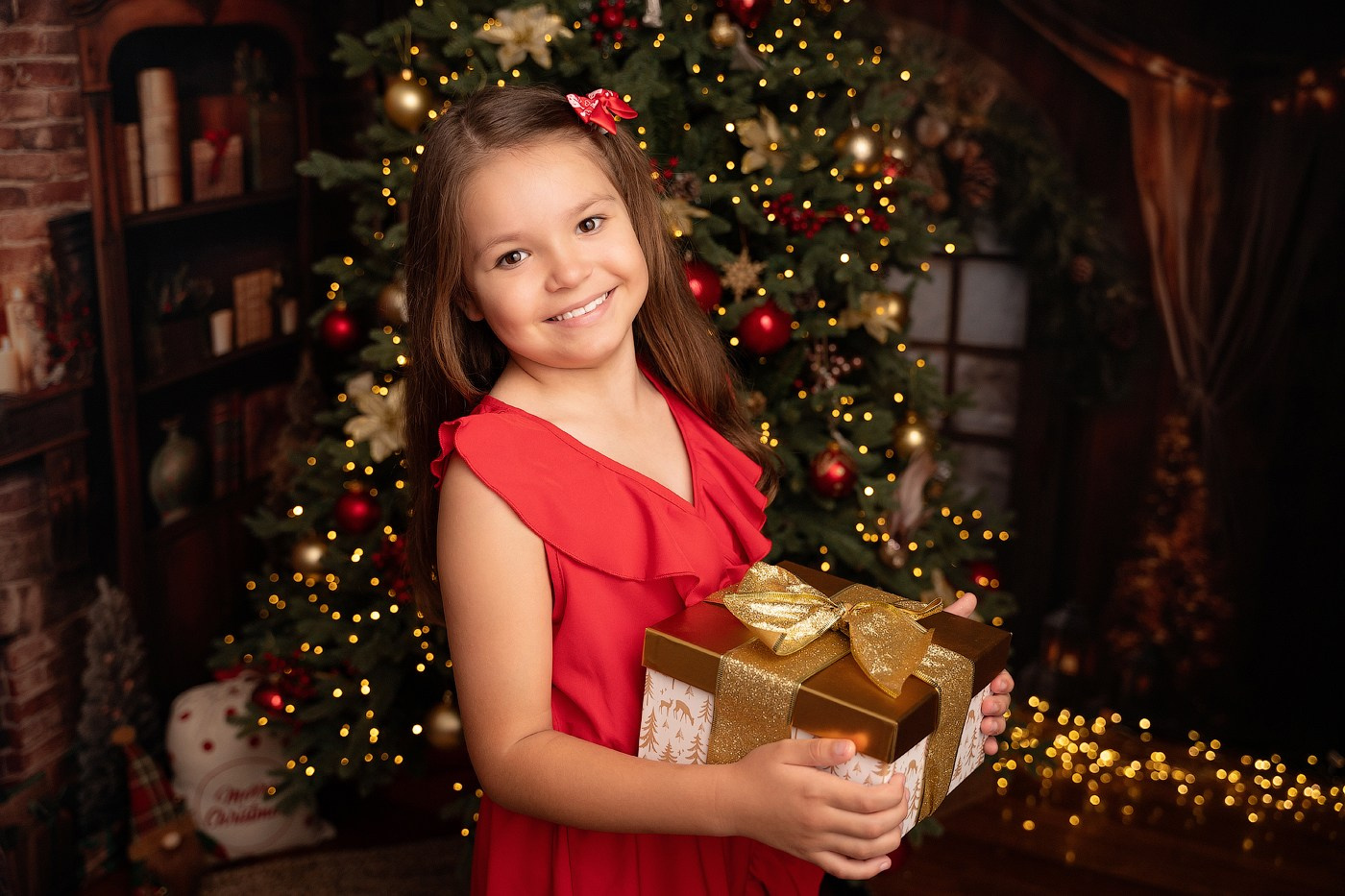 Christmas mini sessions 2025| Sydney. Newborn and family photographer. Hills District. Sydney