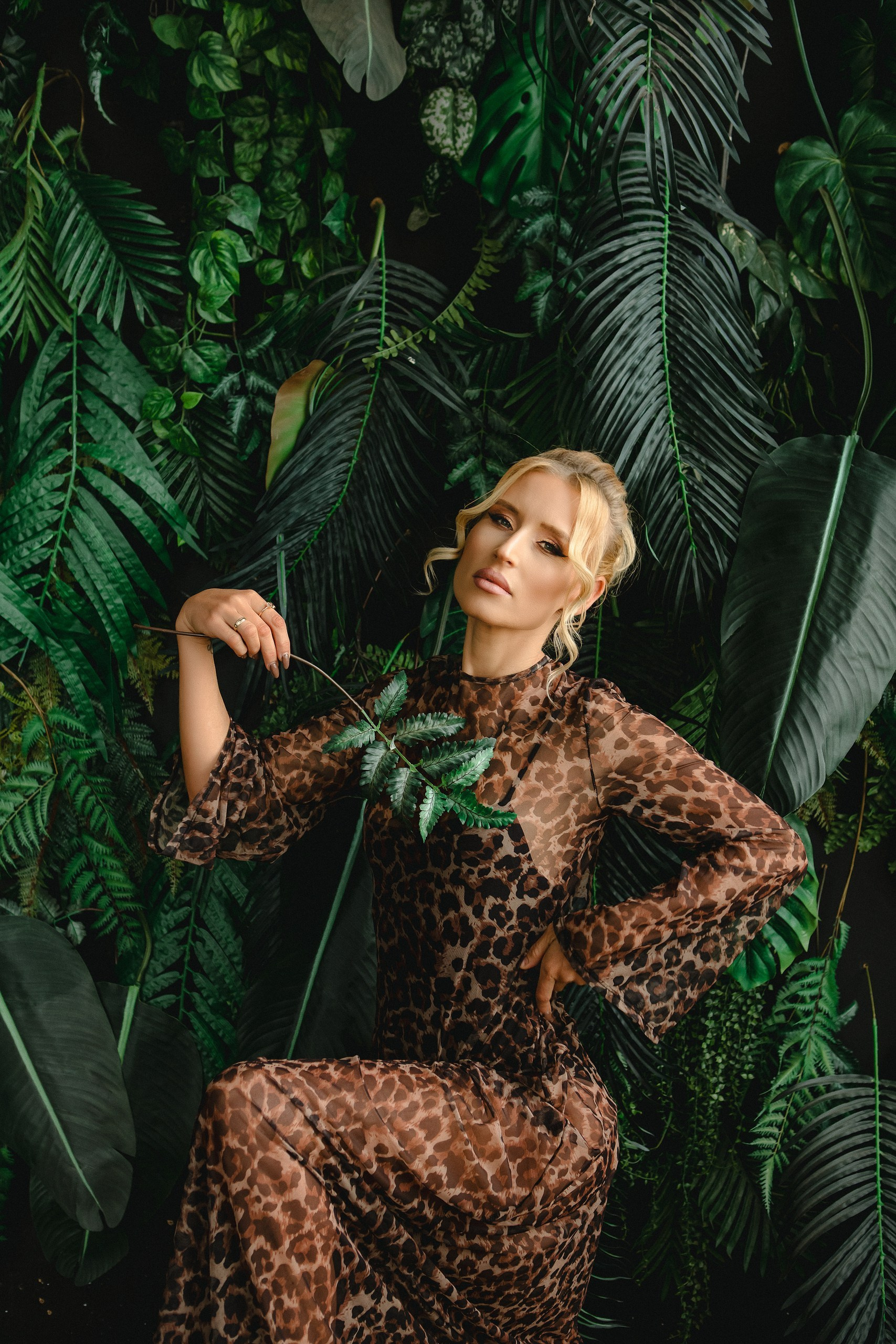 Jungle Studio Shooting in Heilbronn. Bad Rappenau. Stuttgart. Mannheim und Würzburg