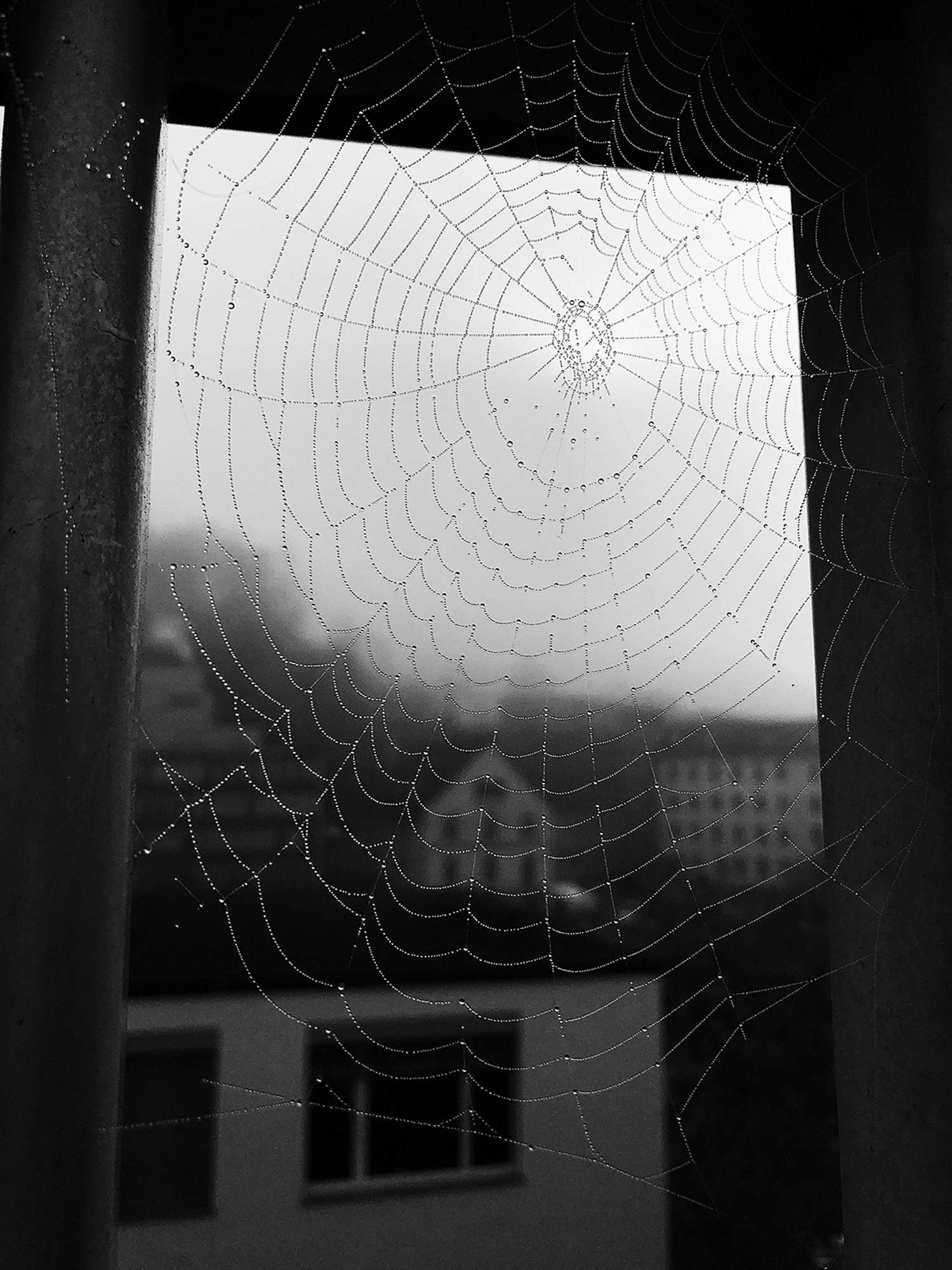 Projects. Photographer and visual artist Irina Vovk