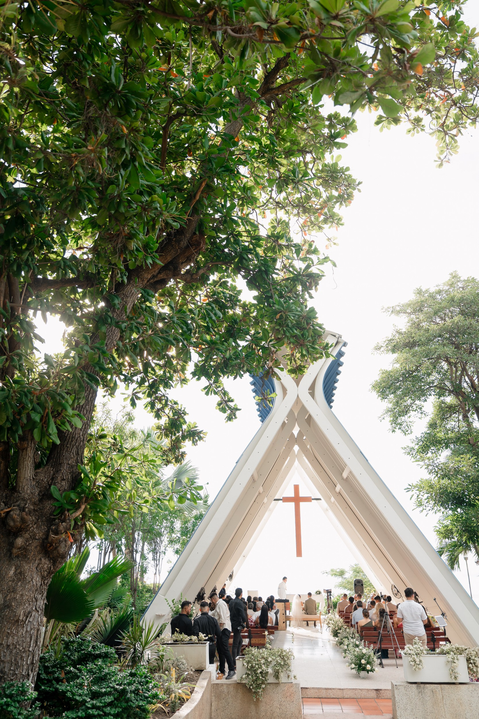 Miguel Velasquez Fotógrafo