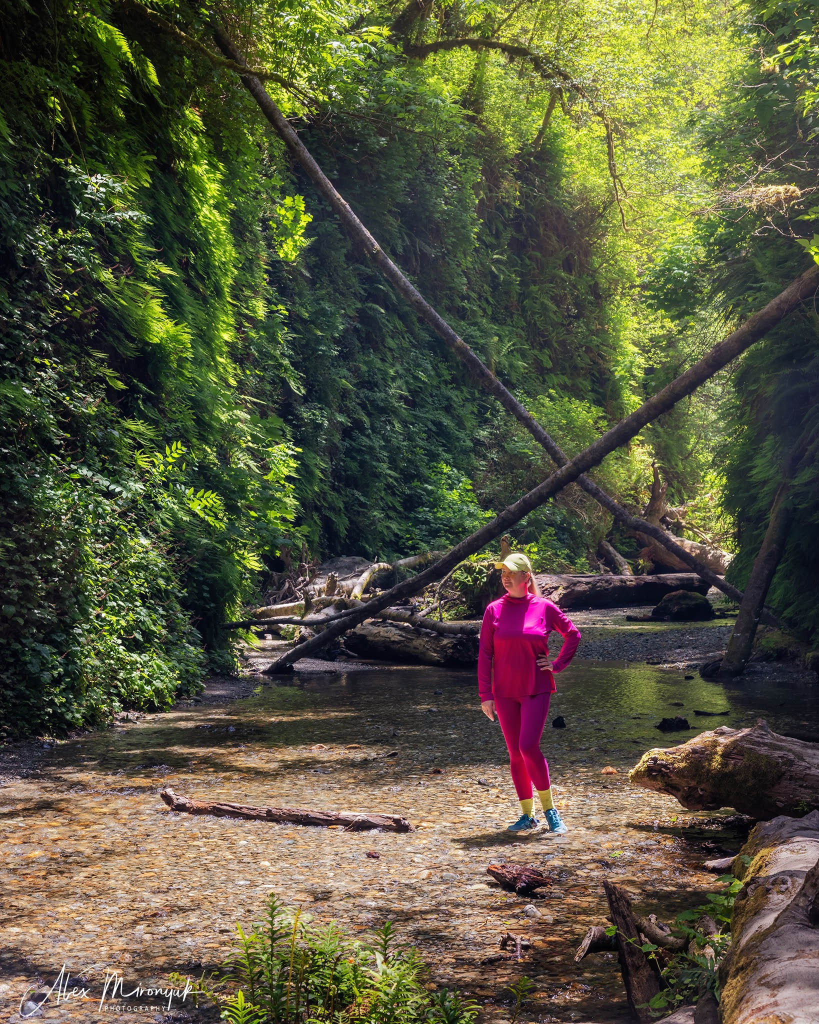 From Crater Lake to the Coast — A Photographer’s Journey. Pet, Senior, Landscape, portrait studio, photographer in Miami and Sou