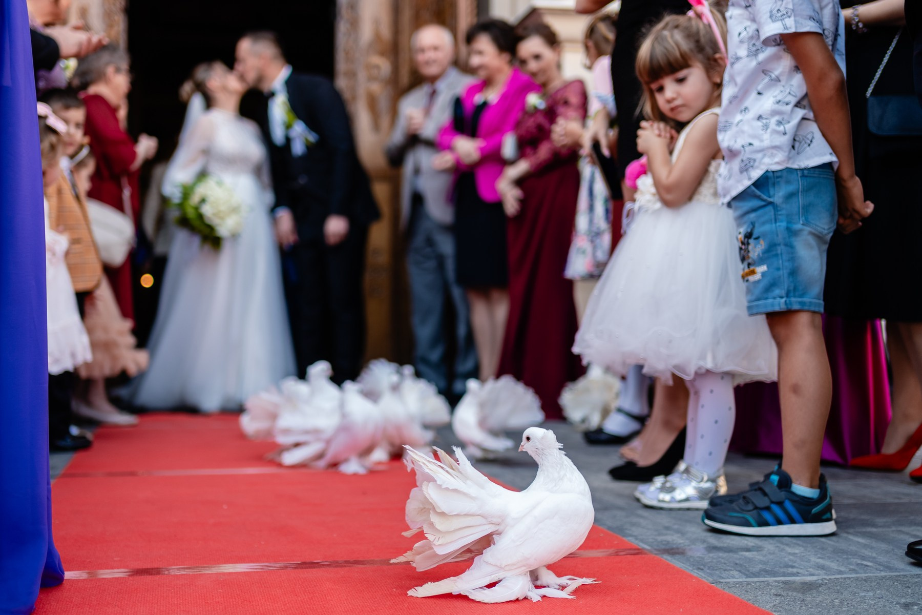 Fotografi-Cameramani. Újfalvi Szilárd — Wedding, Civil Wedding, Christening & Family Photographer in Târgu Mureș and Transylvania
