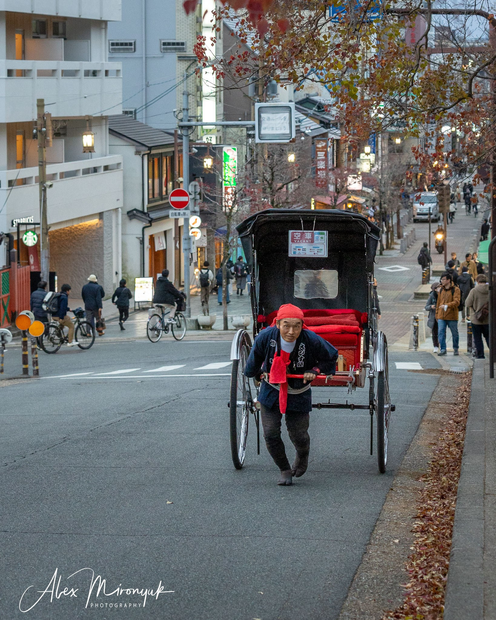 Autumn Colors of Japan. Pet, Senior, Landscape, portrait studio, photographer in Miami and Sou