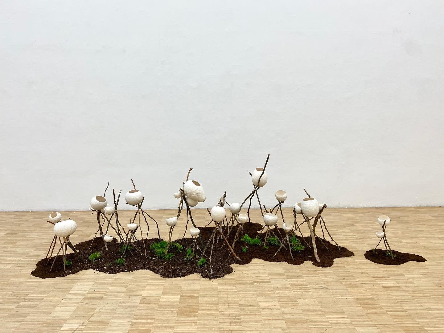 Papier, brindille, herbe, terre, Installation variable