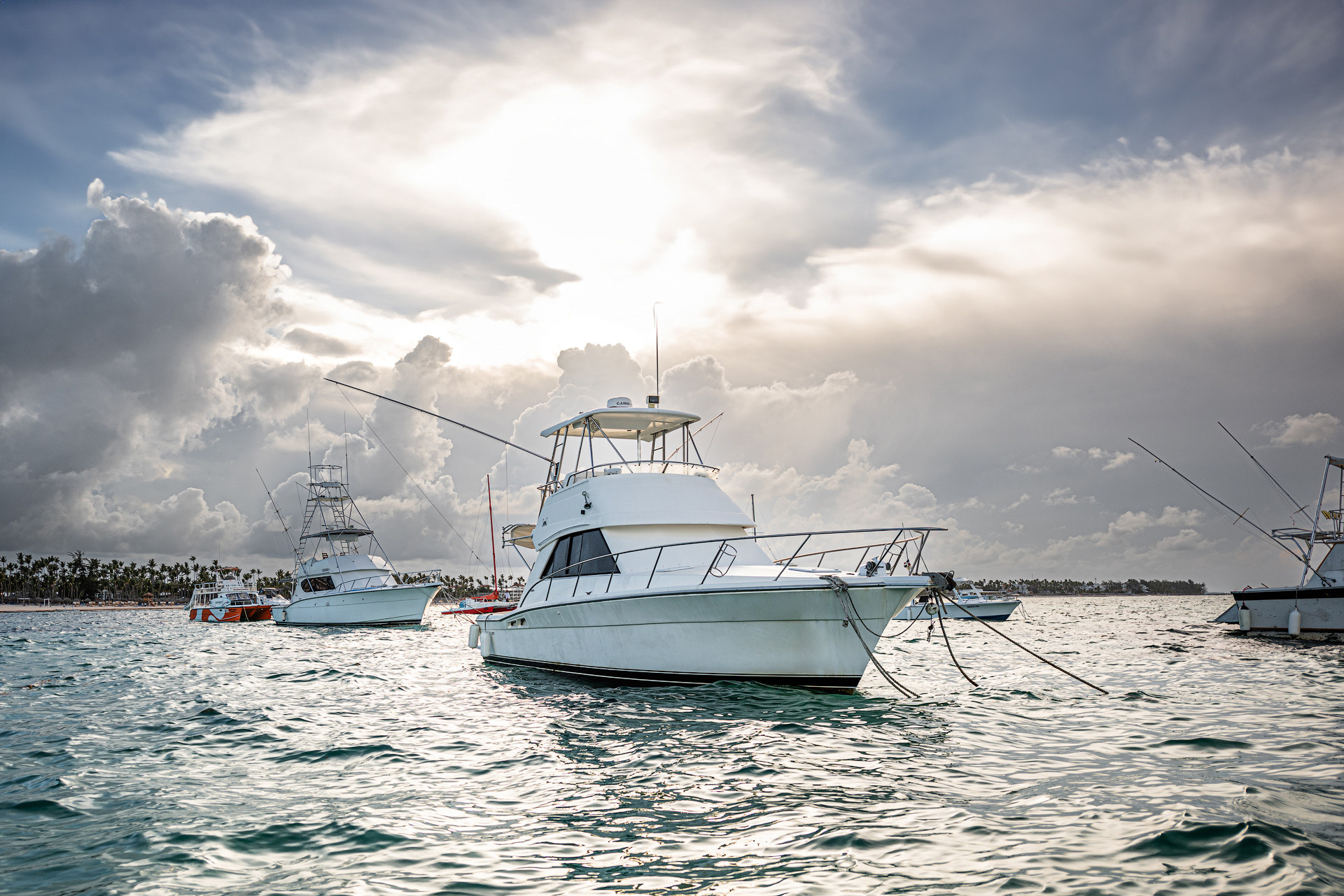 Pedidos de Casamento em Punta Cana | Pacotes Românticos na Praia. Fotógrafo de Casamento e Pedido de Casamento em Punta Cana — Mikhail Chernov