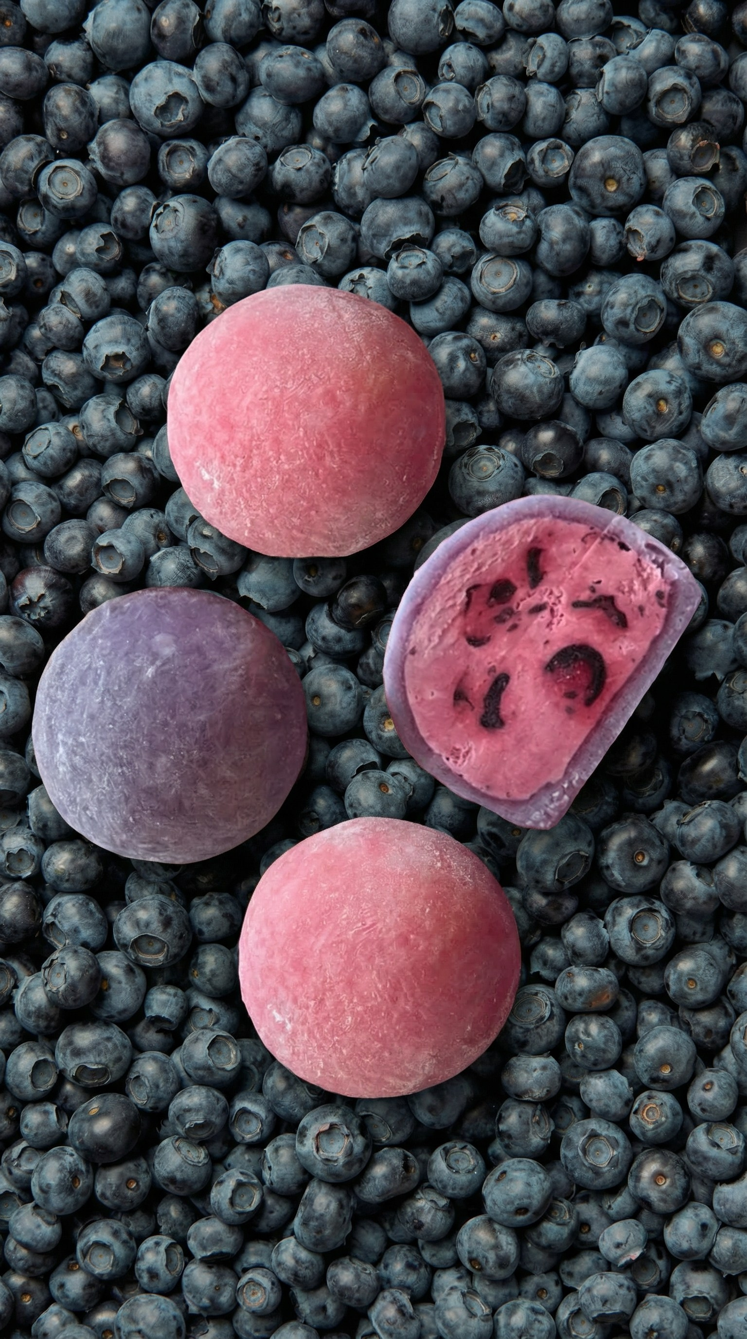 Mochi. Little Birdie – Jouw familie- en huwelijksfotograaf in België en daarbuiten