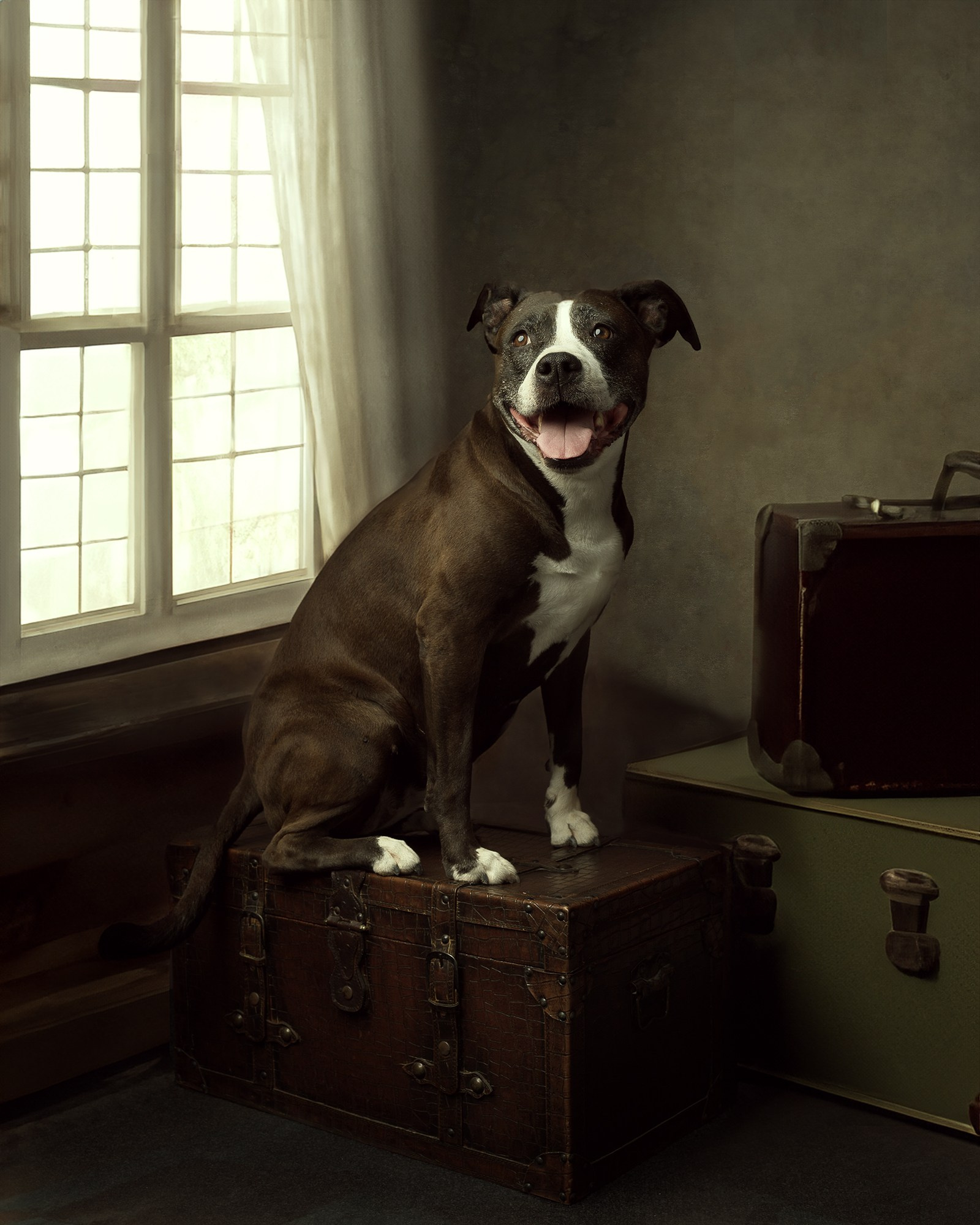 Sesiones. DIANA TRILLO_PHOTOGRAPHY