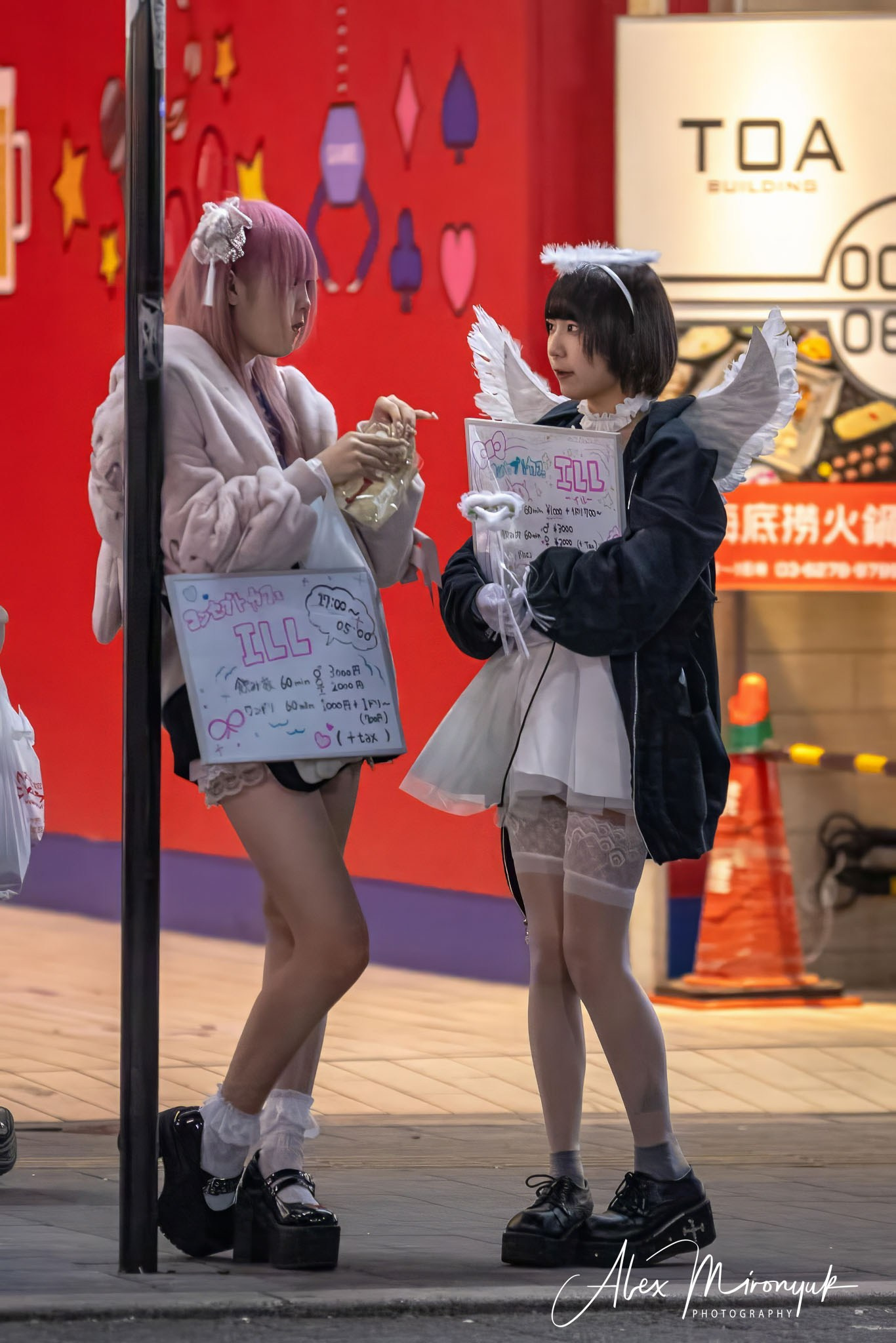 Autumn Colors of Japan. Pet, Senior, Landscape, portrait studio, photographer in Miami and Sou