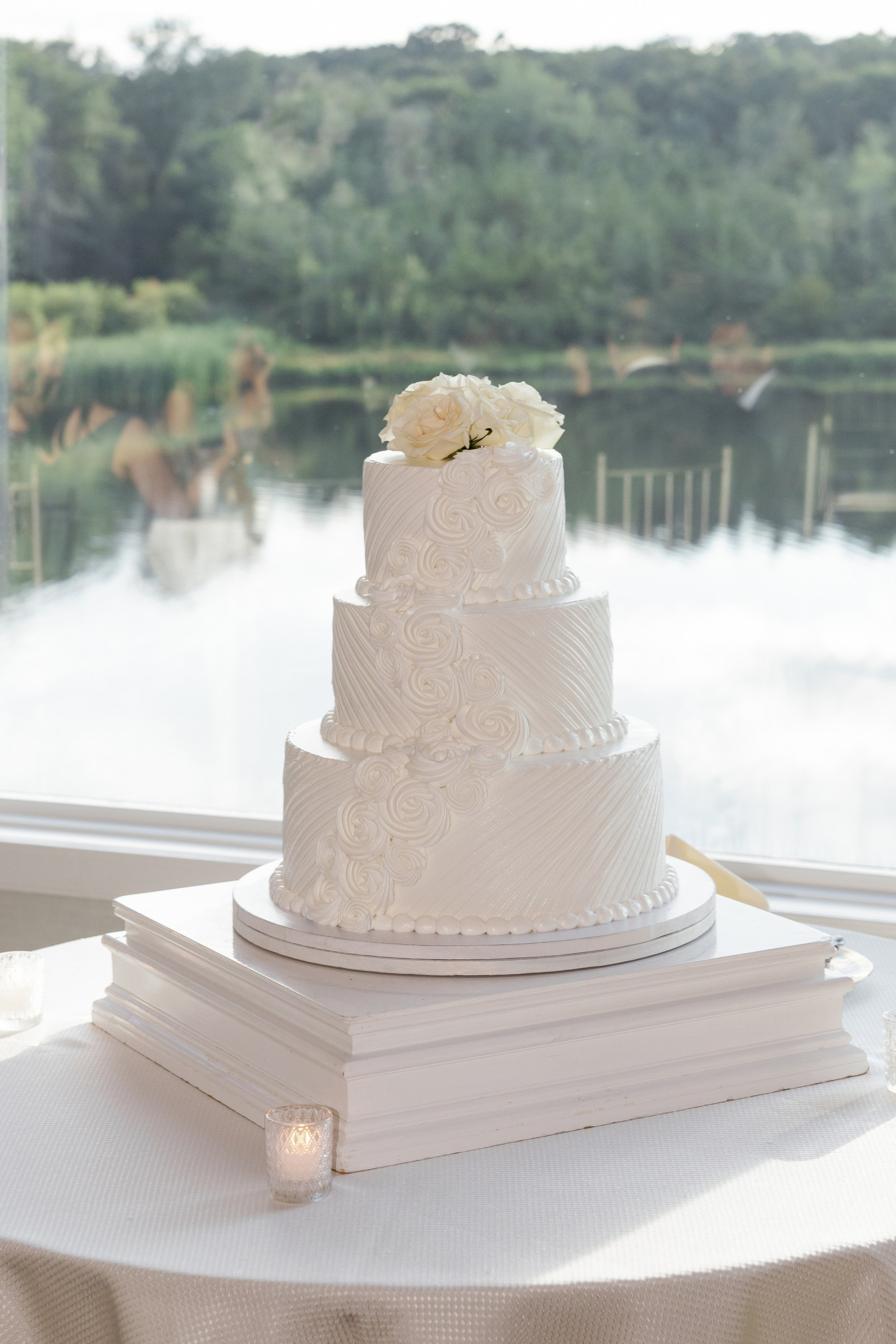Anusha and Michael. Wedding Photo & Video