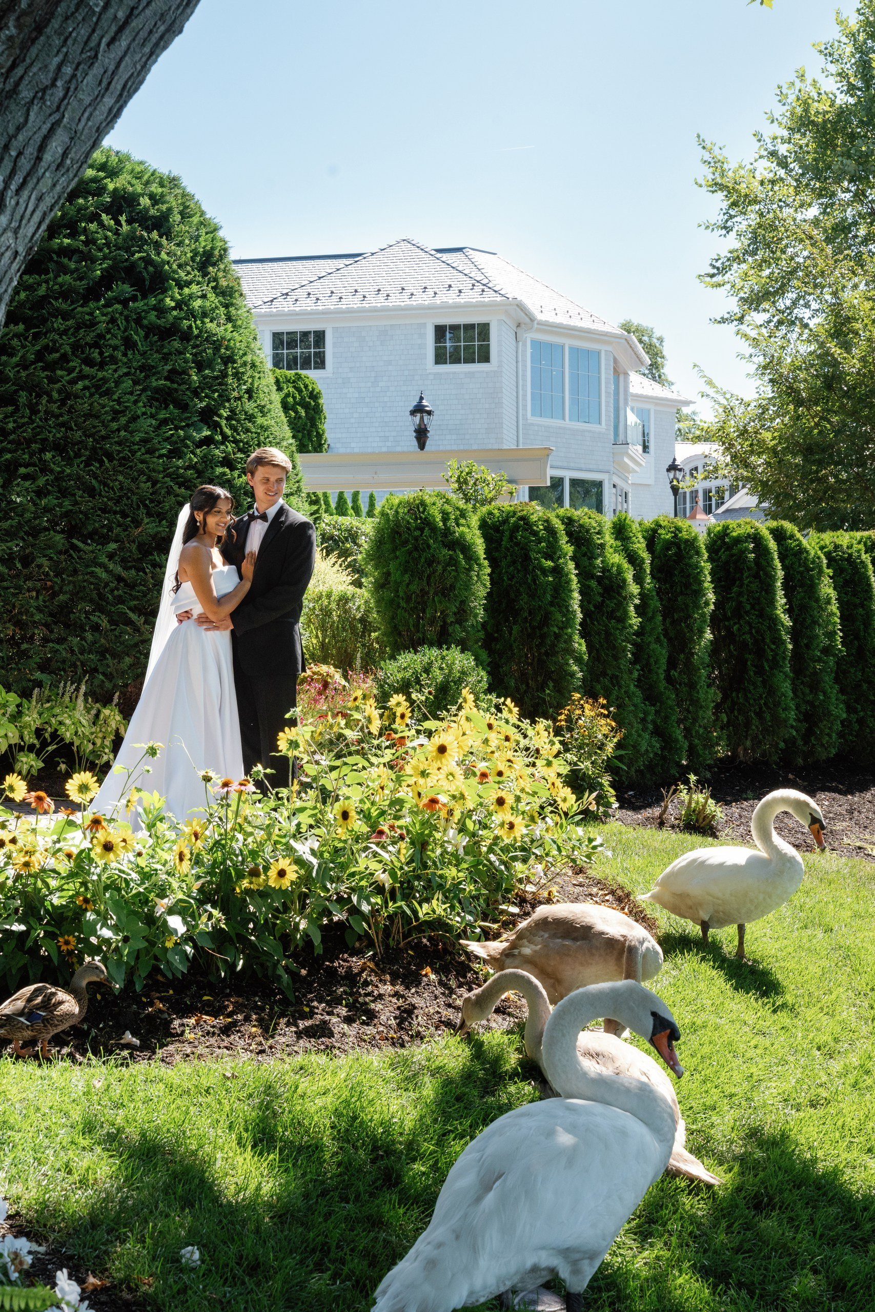 Anusha and Michael. Wedding Photo & Video
