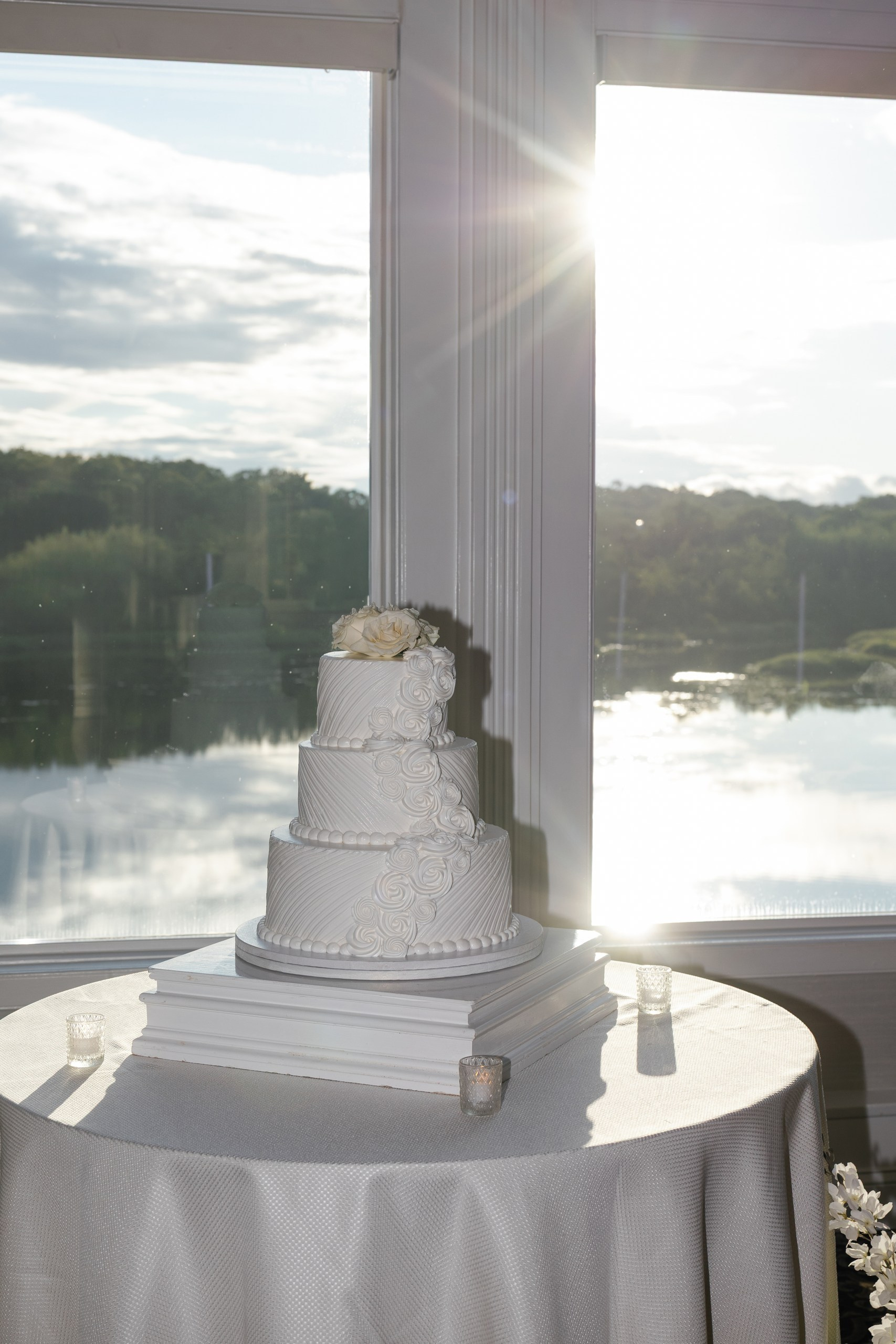 Anusha and Michael. Wedding Photo & Video