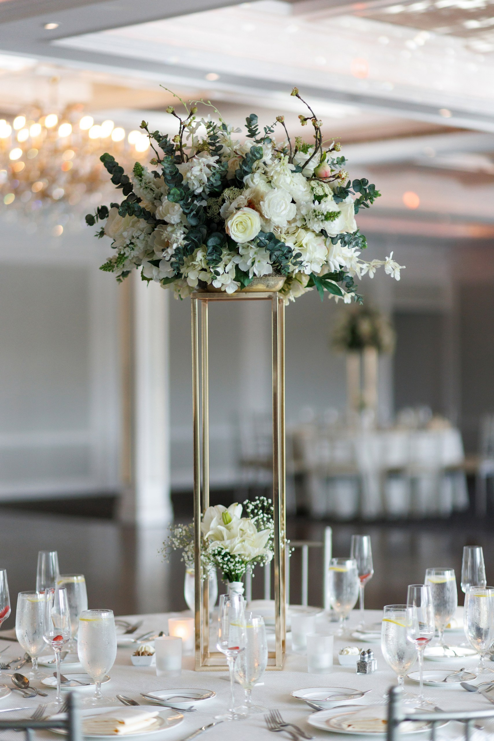Anusha and Michael. Wedding Photo & Video