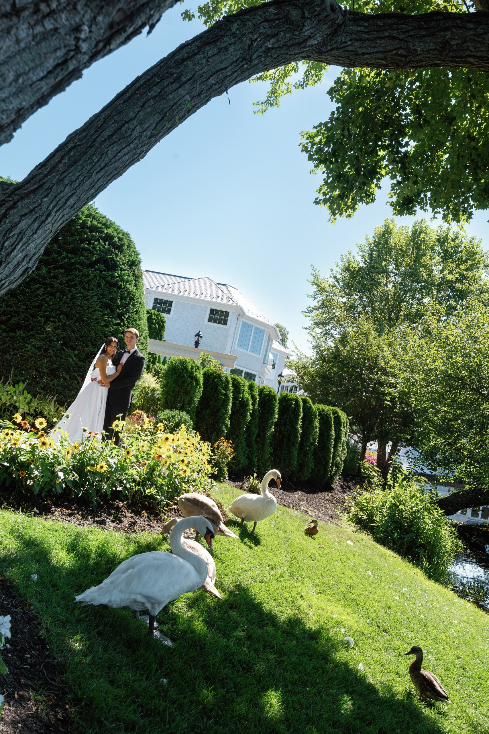 Anusha and Michael. Wedding Photo & Video