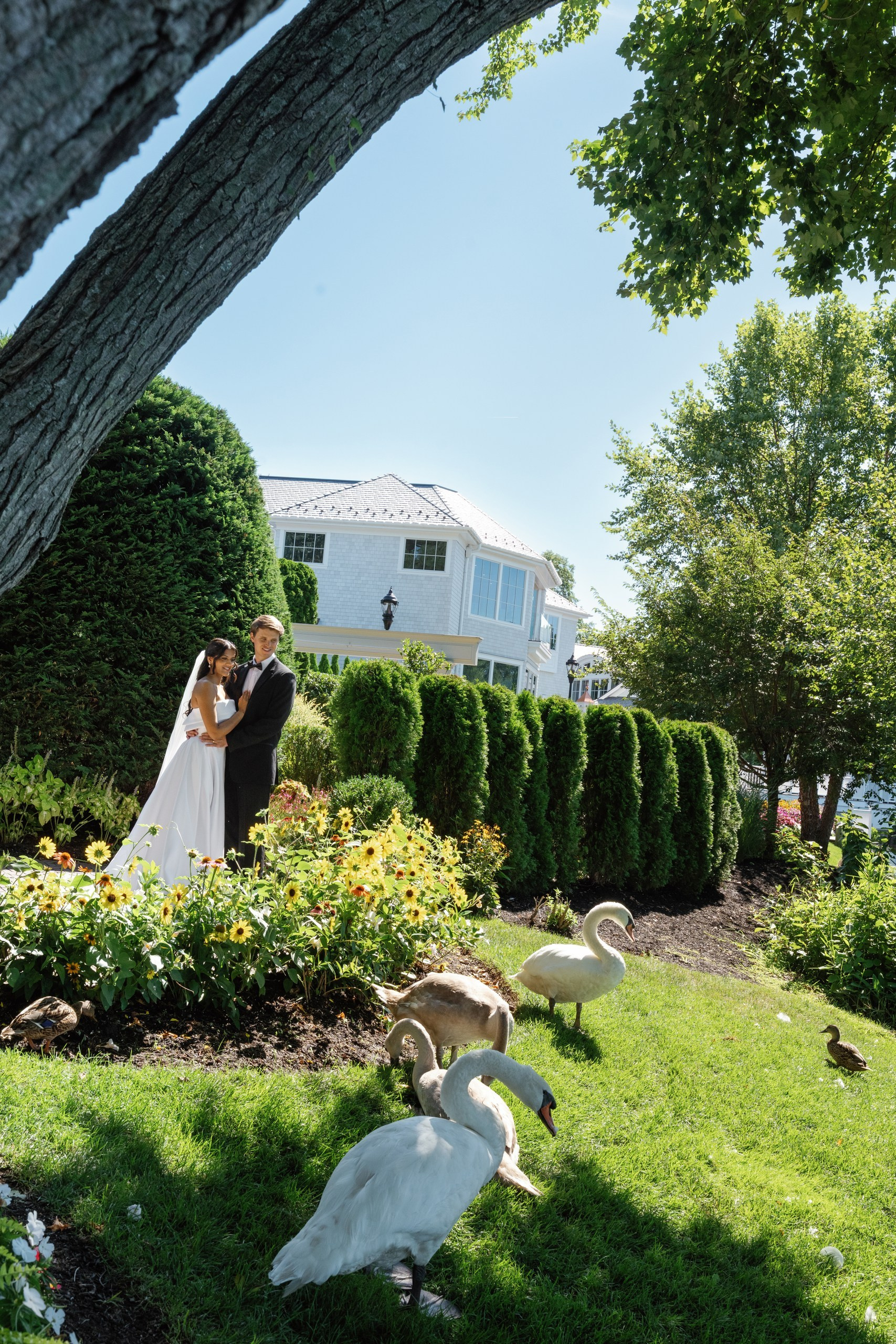 Anusha and Michael. Wedding Photo & Video