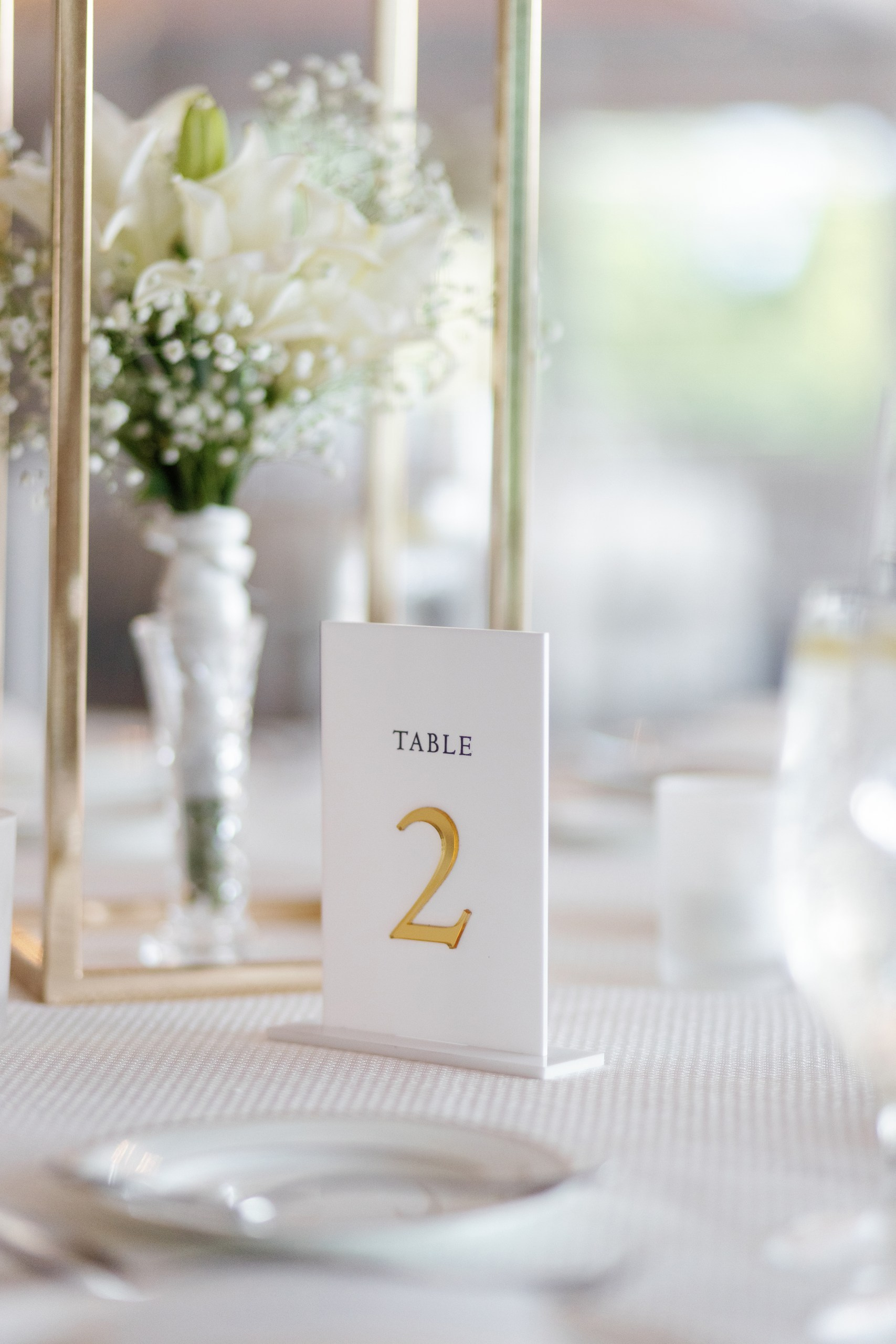 Anusha and Michael. Wedding Photo & Video