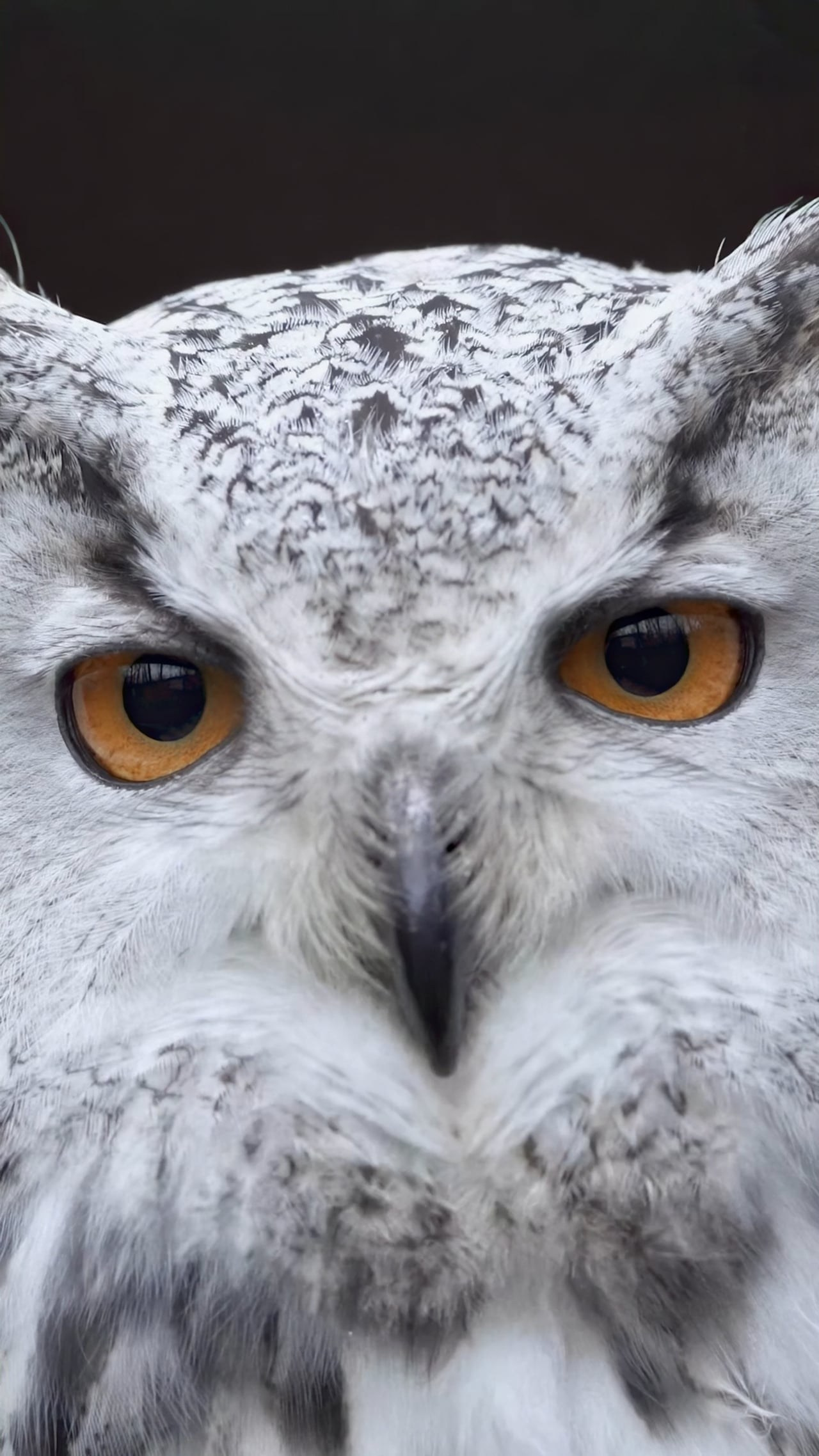 Dubai Fashion & Brand Video Production | Luxury Content for Brands, Agencies and Magazines