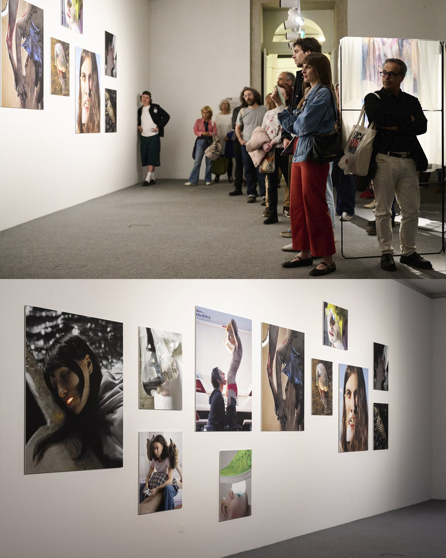 Exhibitions. Sasha Chaika