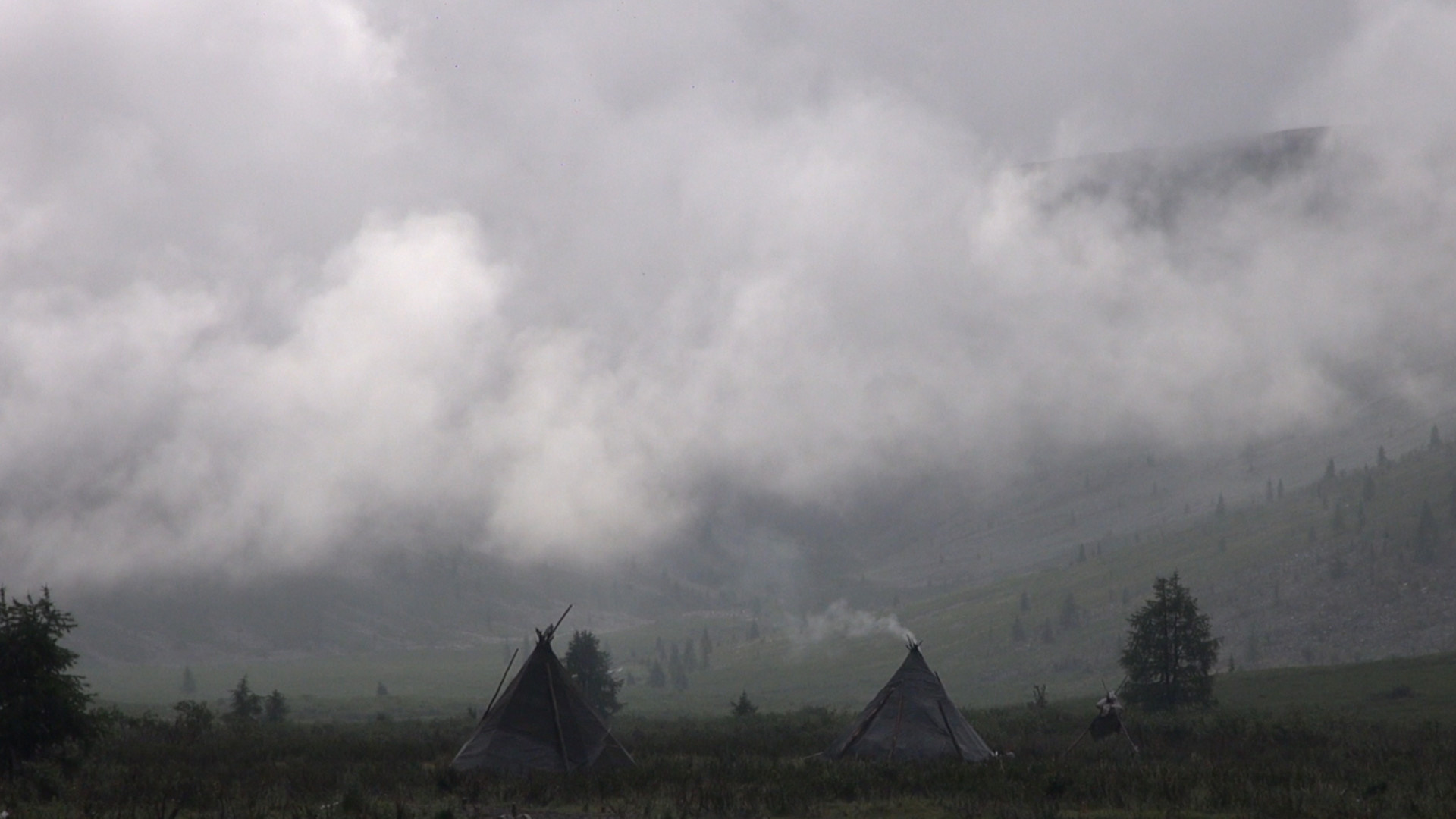 The Art of Falling Apart. Singularity Film