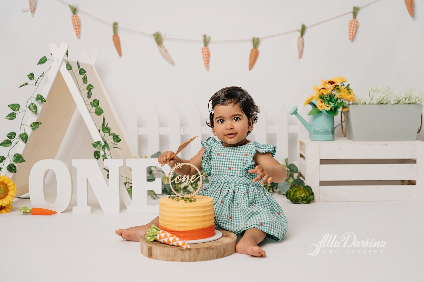 First birthday celebration. Newborn and family photographer. Hills District. Sydney