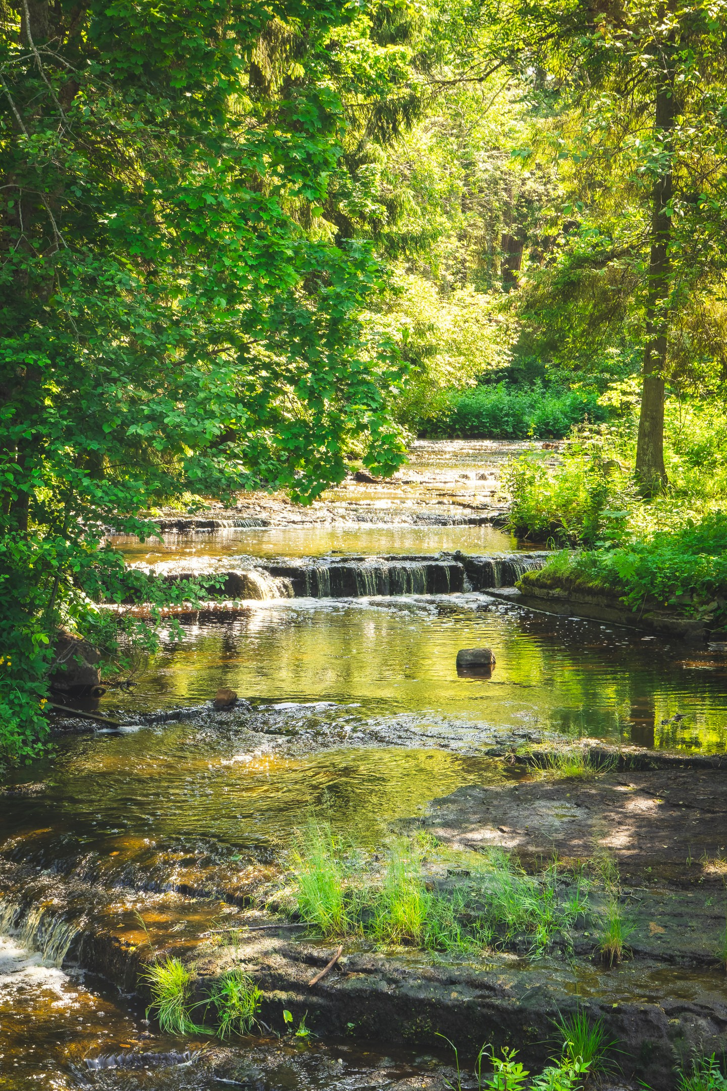 Nebula 25 — Fotod teie hingele