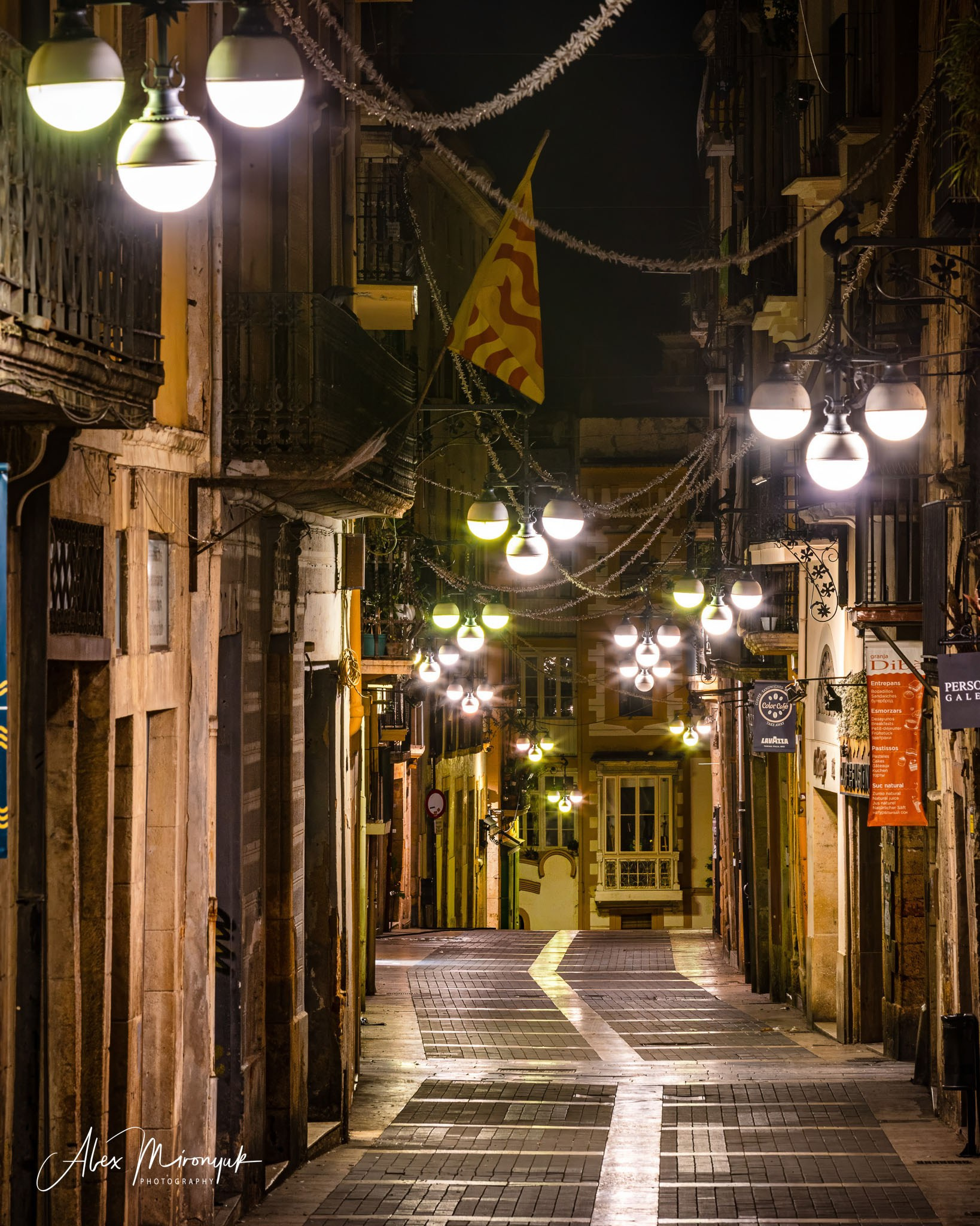 Catalonian Medieval Castles. Pet, Senior, Landscape, portrait studio, photographer in Miami and Sou