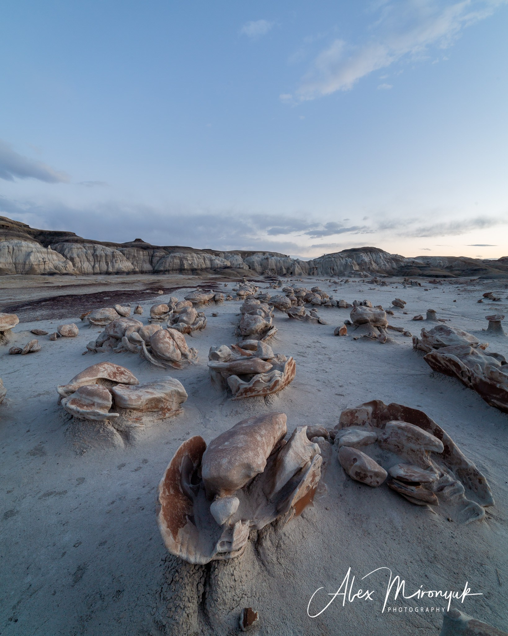 The Best of New Mexico. Pet, Senior, Landscape, portrait studio, photographer in Miami and Sou