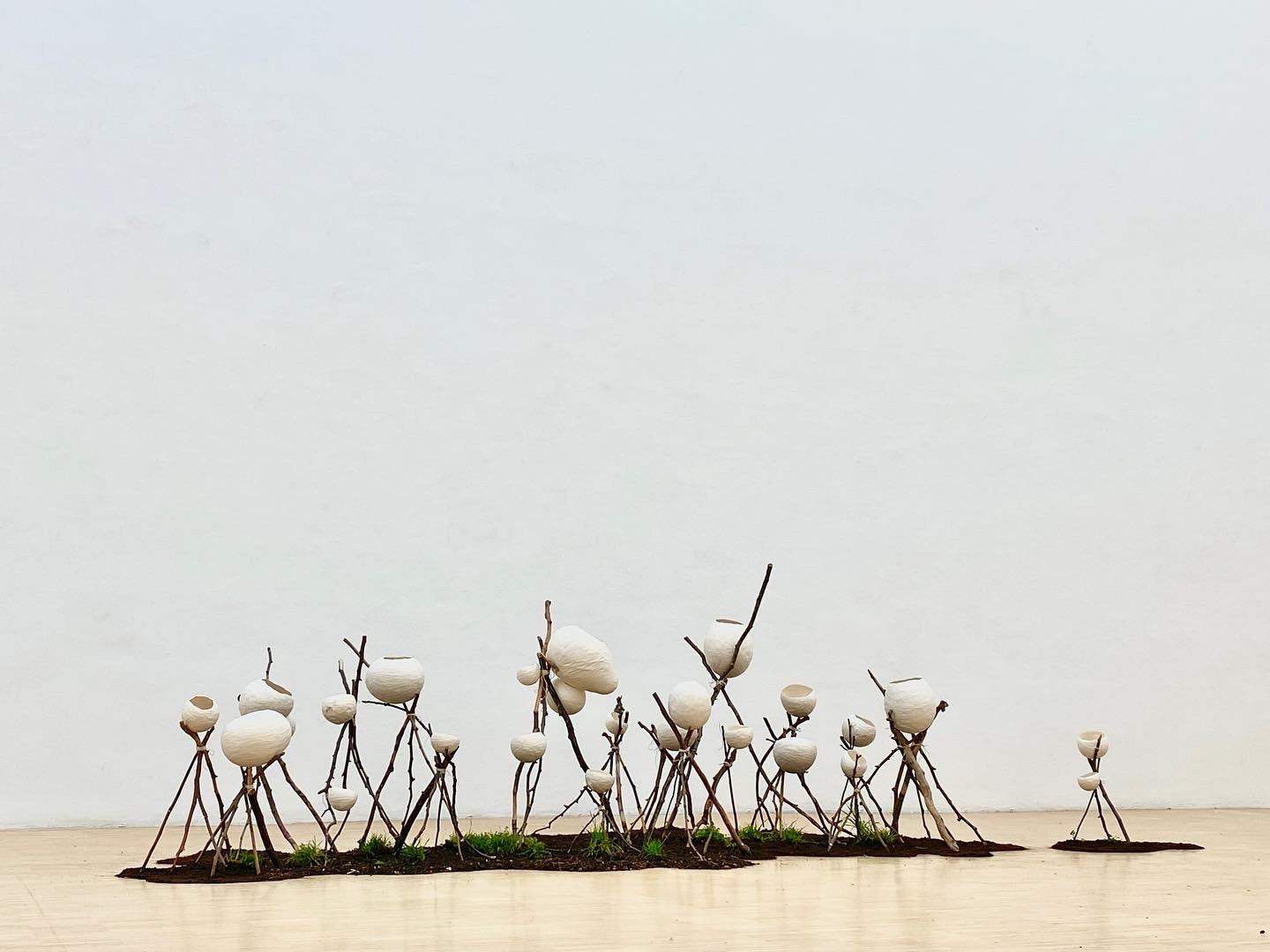 Papier, brindille, herbe, terre, Installation variable