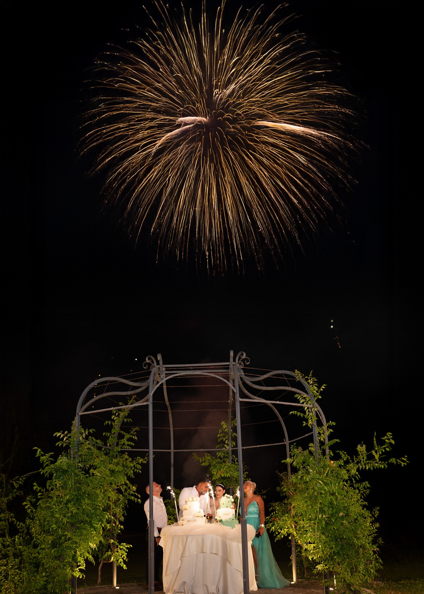 Daniel Rotaru Photography