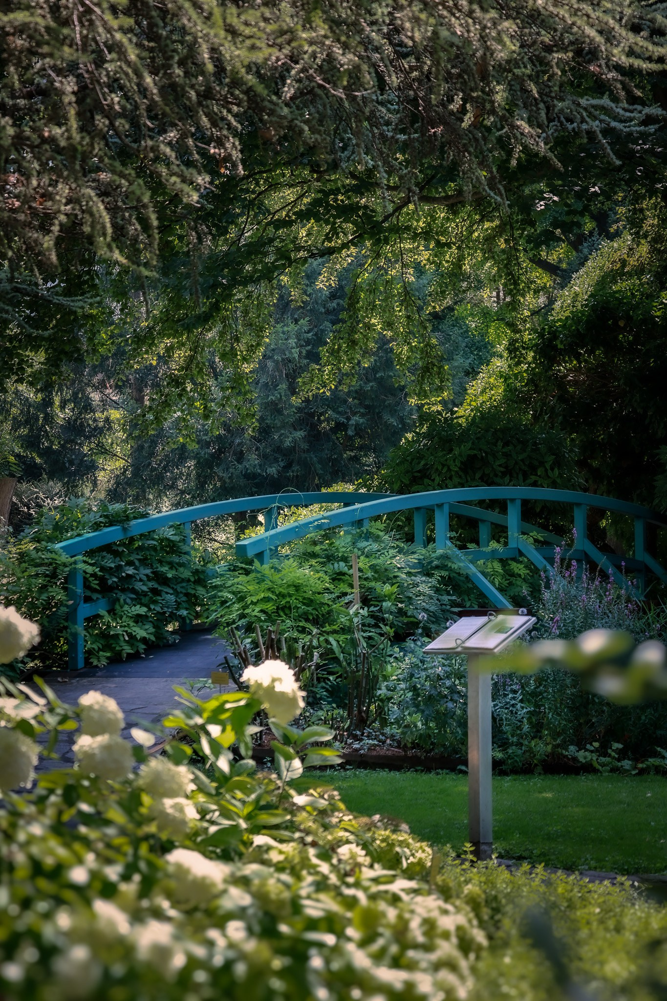 Kagran School Gardens