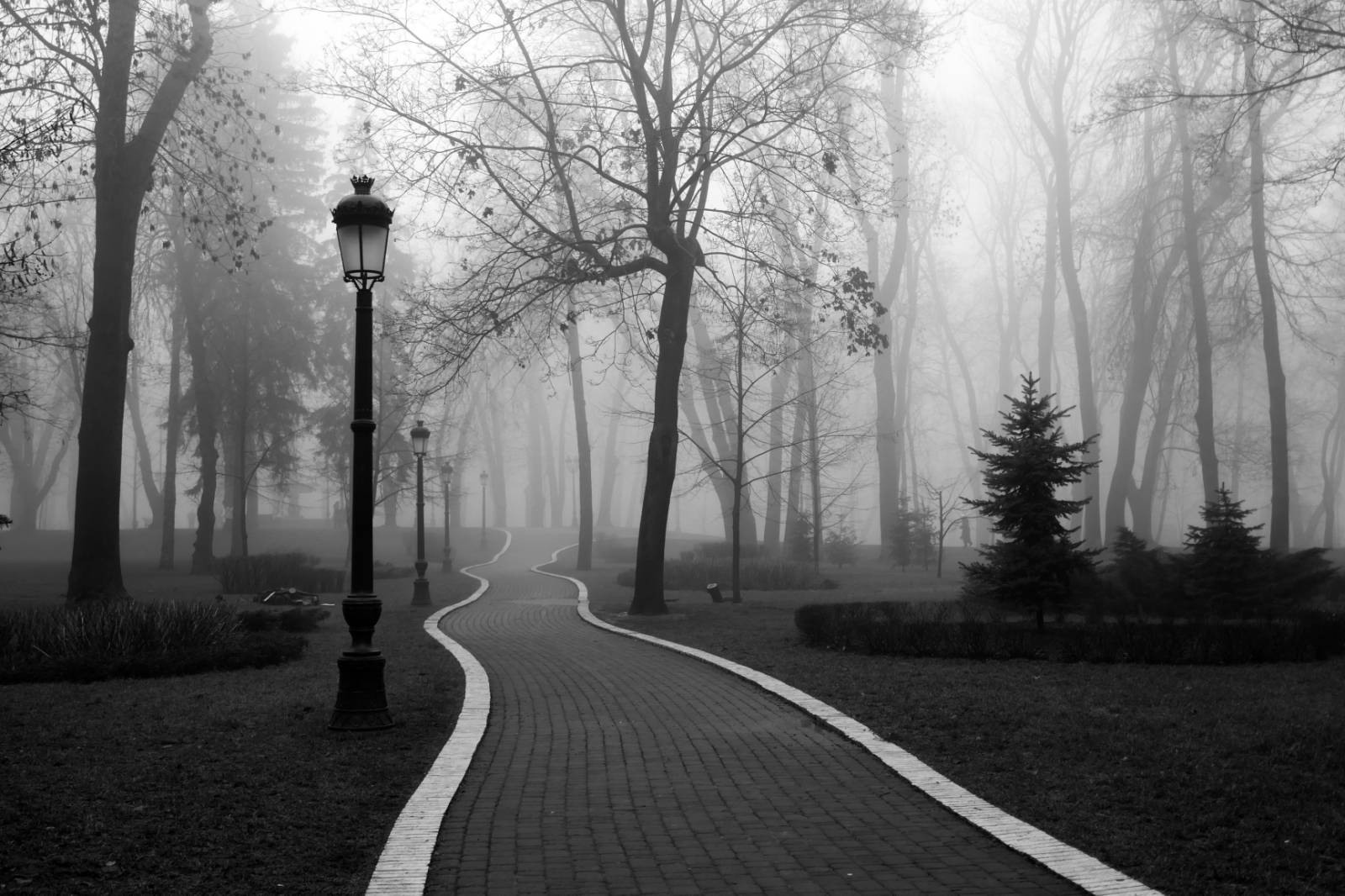 Fotografin Marina Kravchuk