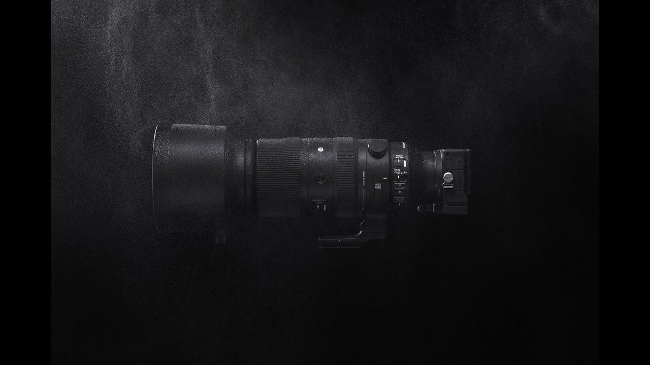 SIGMA 60-600mm — обзор. Фотограф Григорий Кравец