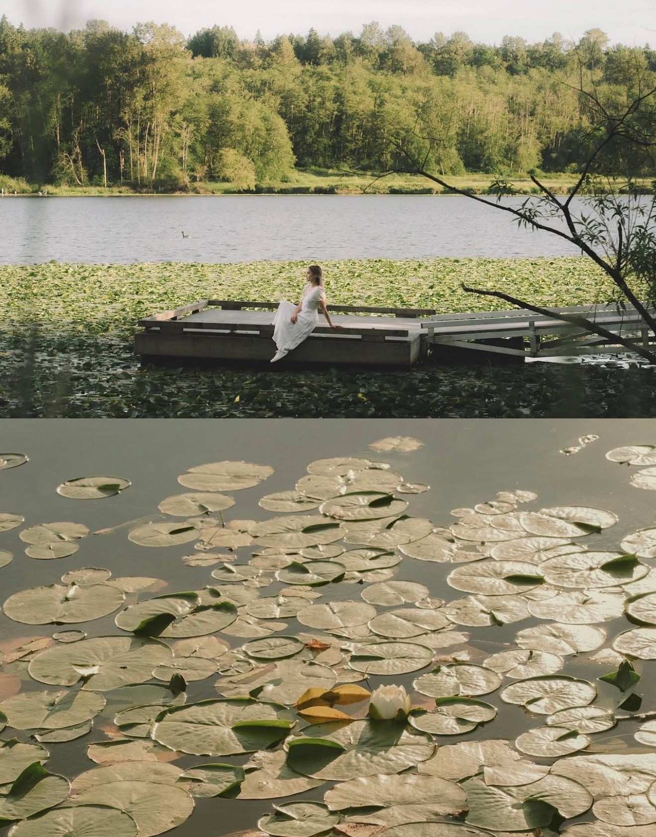 Vancouver Photographer | Catherine Vashchenko
