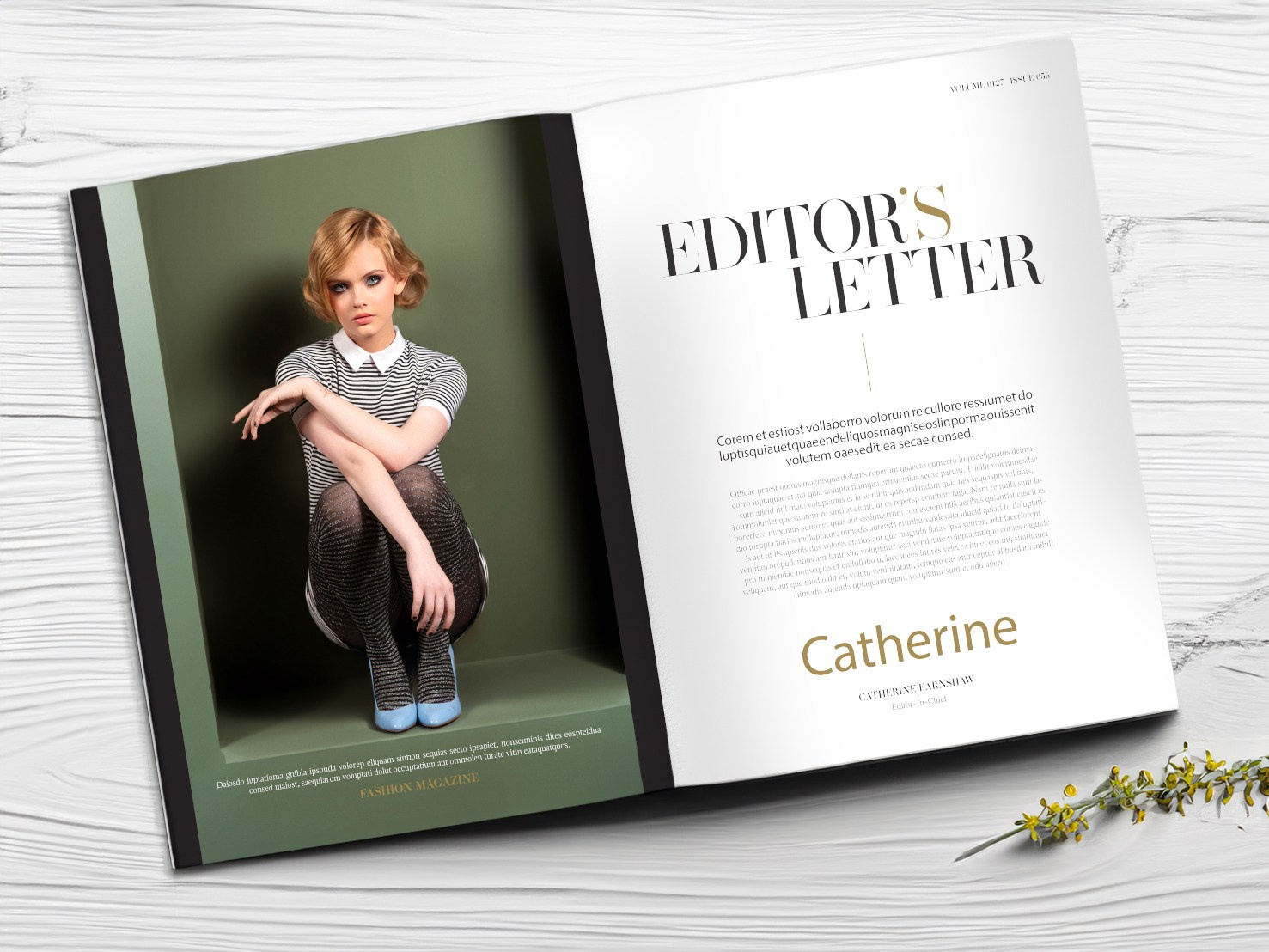 СoverGirl. Фотограф в Таллине Виктория Баранова |фотосессии и обучение / Photographer Viktoria Baranova