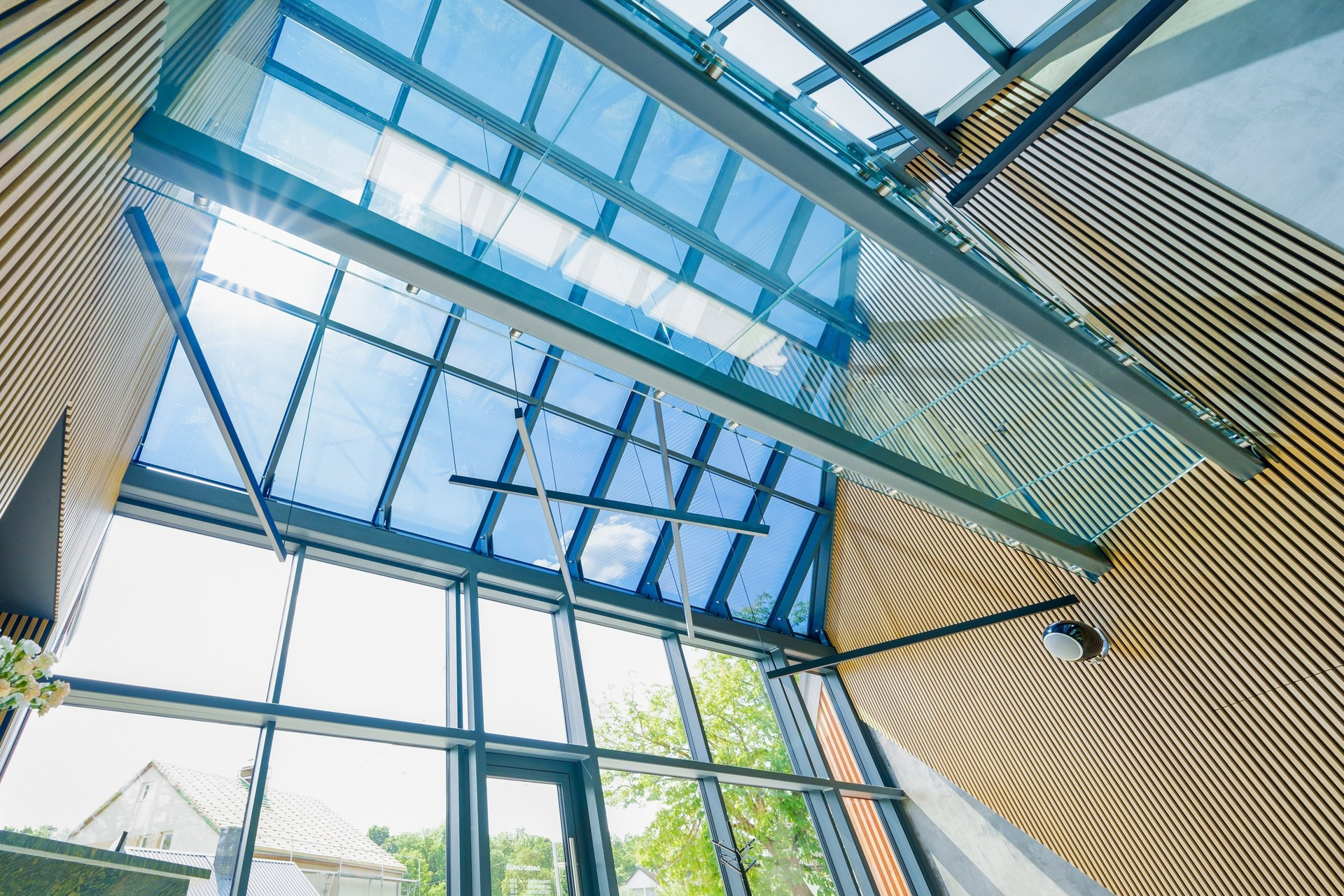 Elina Sapiega fotografė Vilniuje