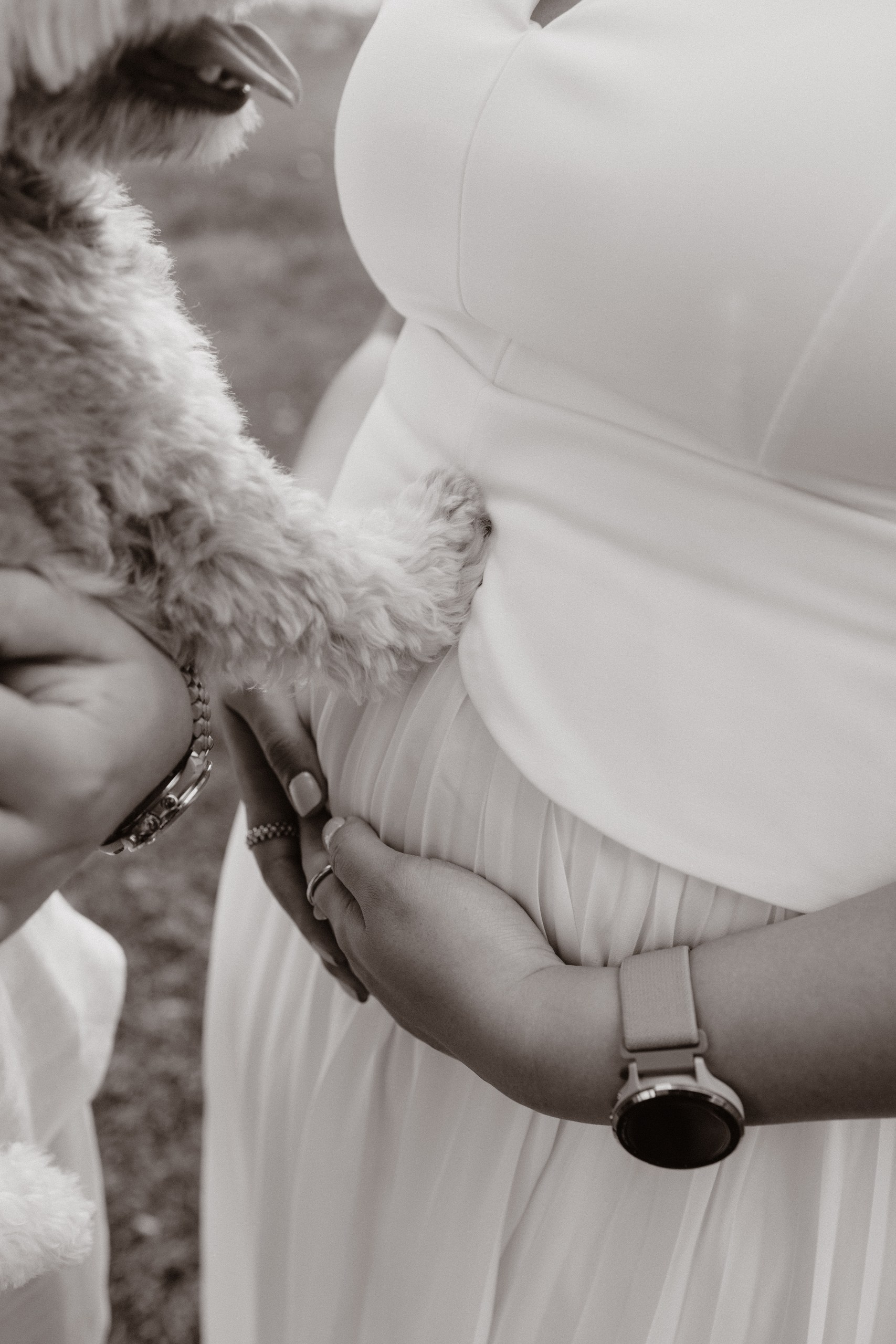 Pricing drp. Couple, Maternity & Family Photographer in Dubai, UAE & Worldwide