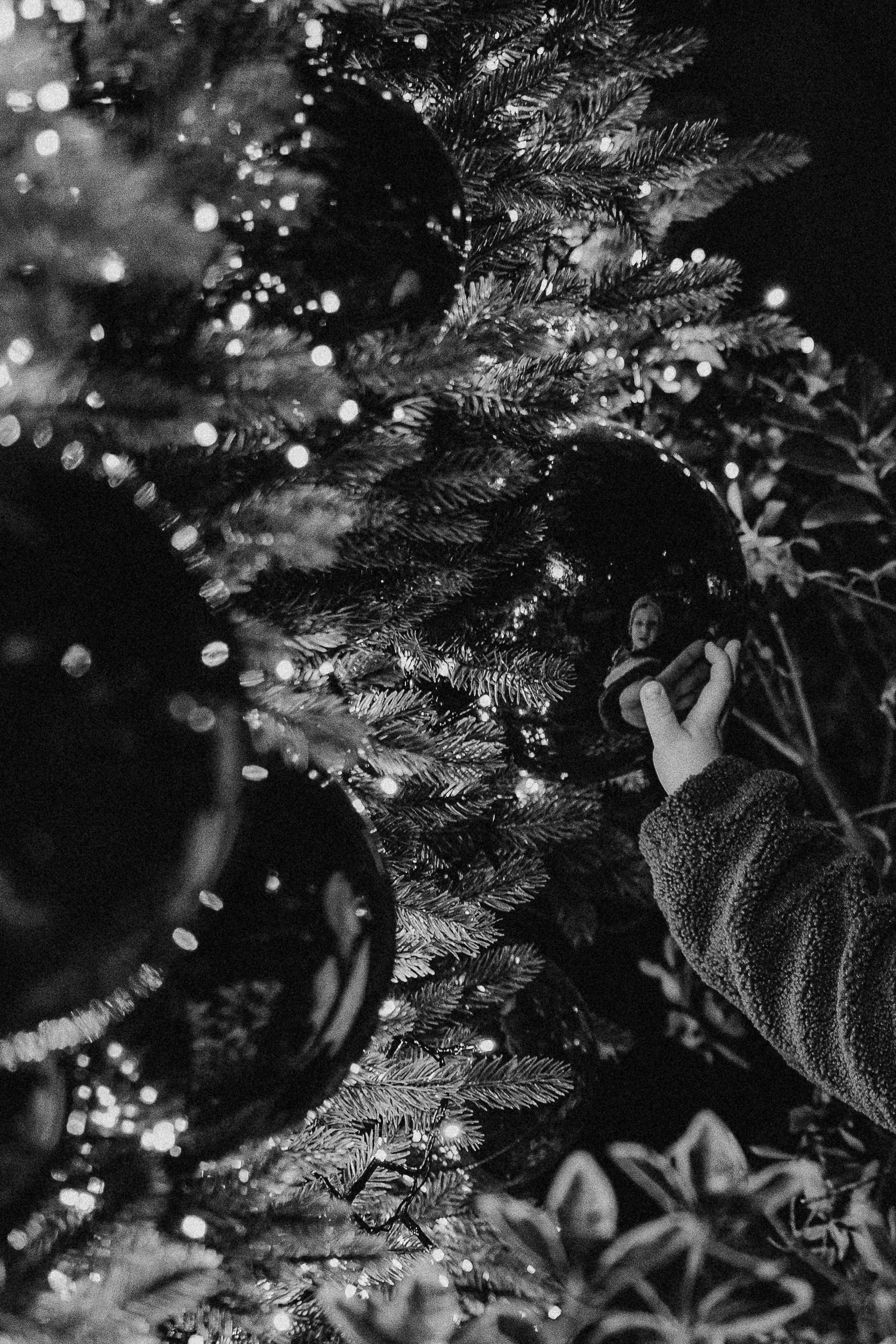 Меня зовут Валерия Азаренко, я свадебный и портретный фотограф. Снимаю в Батуми. Я провожу портретные съёмки, съёмки lovestory, съёмки свадебного дня и семейные. Цены и условия на сайте.