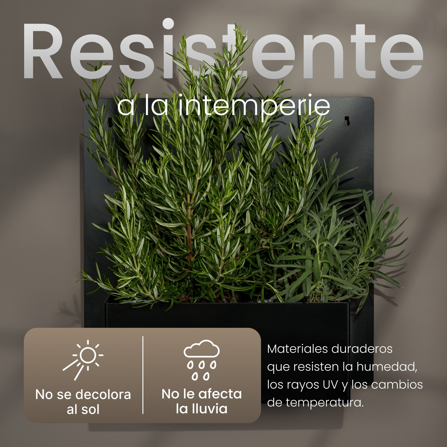Infografía de producto con características destacadas