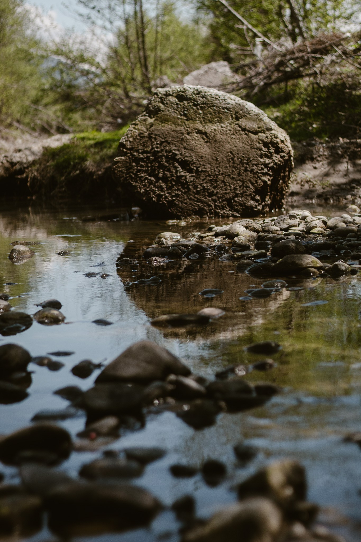 Let the City Become a Garden: Ecology Through the Lens. Stanislava Novgorodtseva — Photographer | Visual Artist | Educator