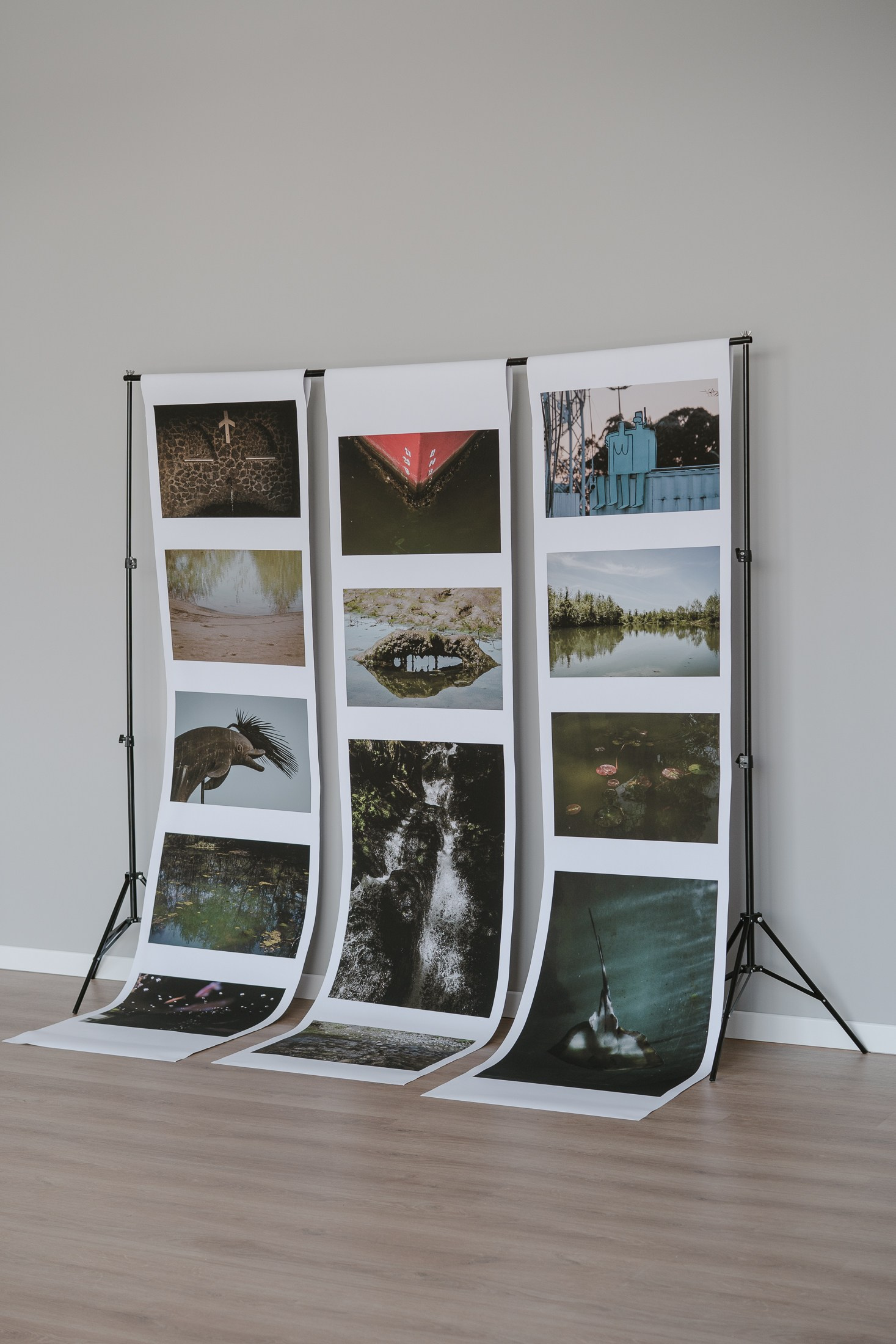 Let the City Become a Garden: Ecology Through the Lens. Stanislava Novgorodtseva — Photographer | Visual Artist | Educator