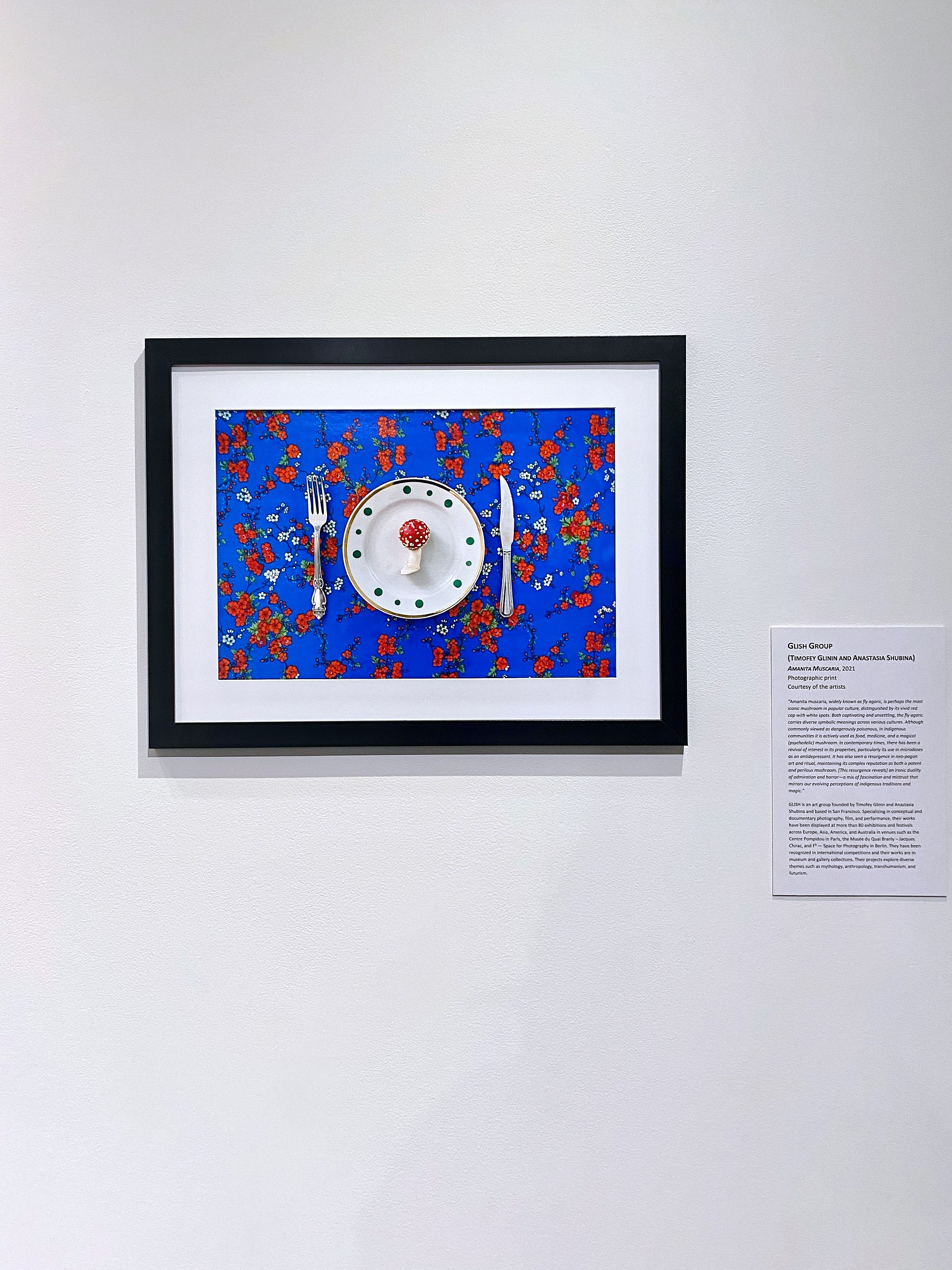 Amanita muscaria. GLISH ART — Timofey Glinin & Anastasia Shubina