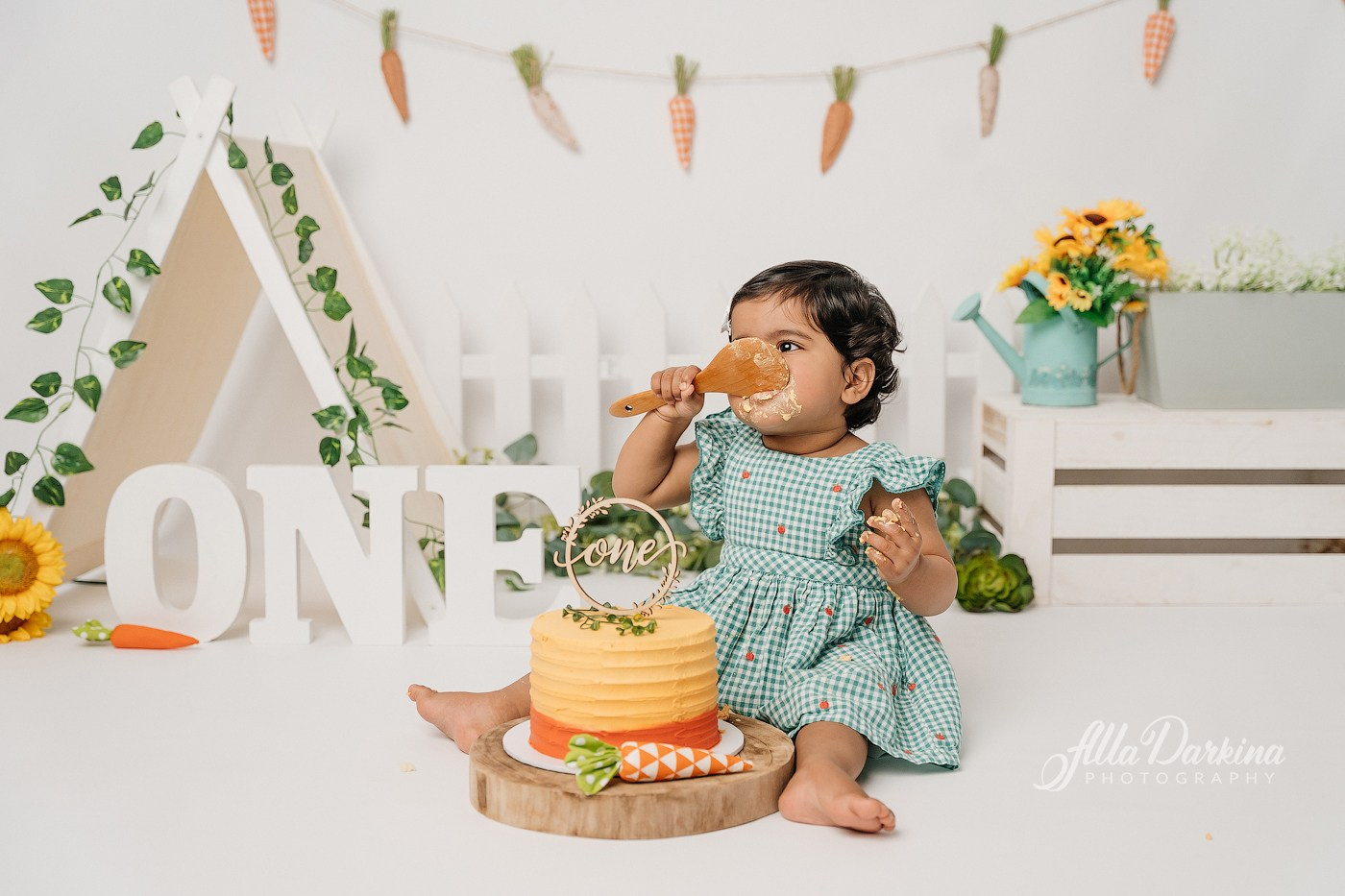 First birthday celebration. Newborn and family photographer. Hills District. Sydney