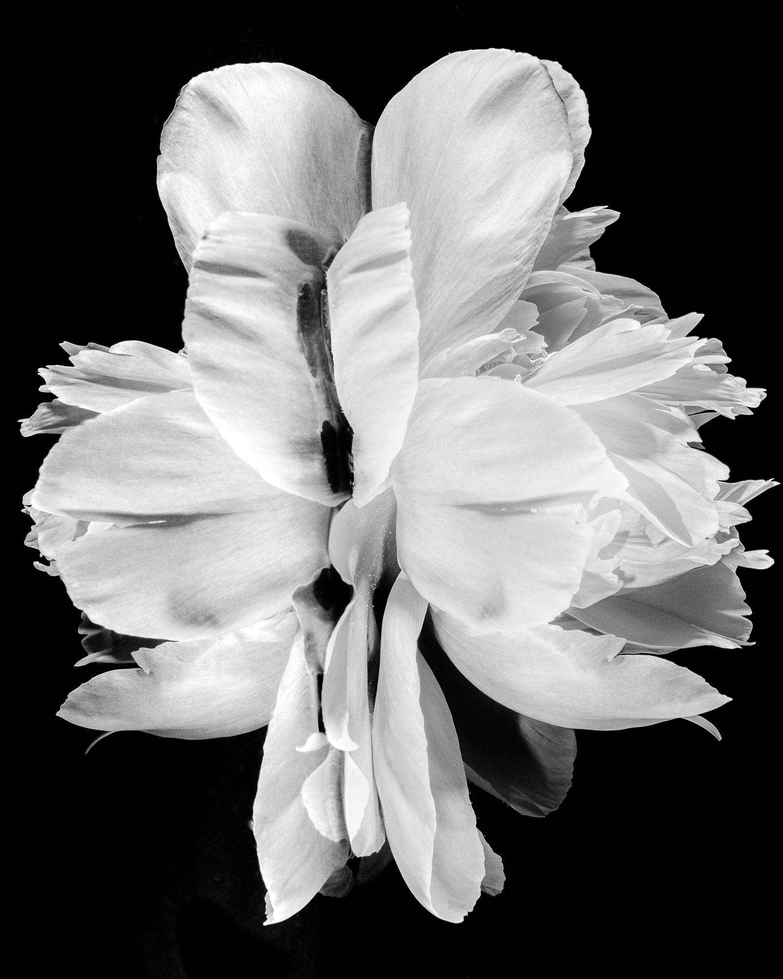 Petr Ya. Photopolygon Mag