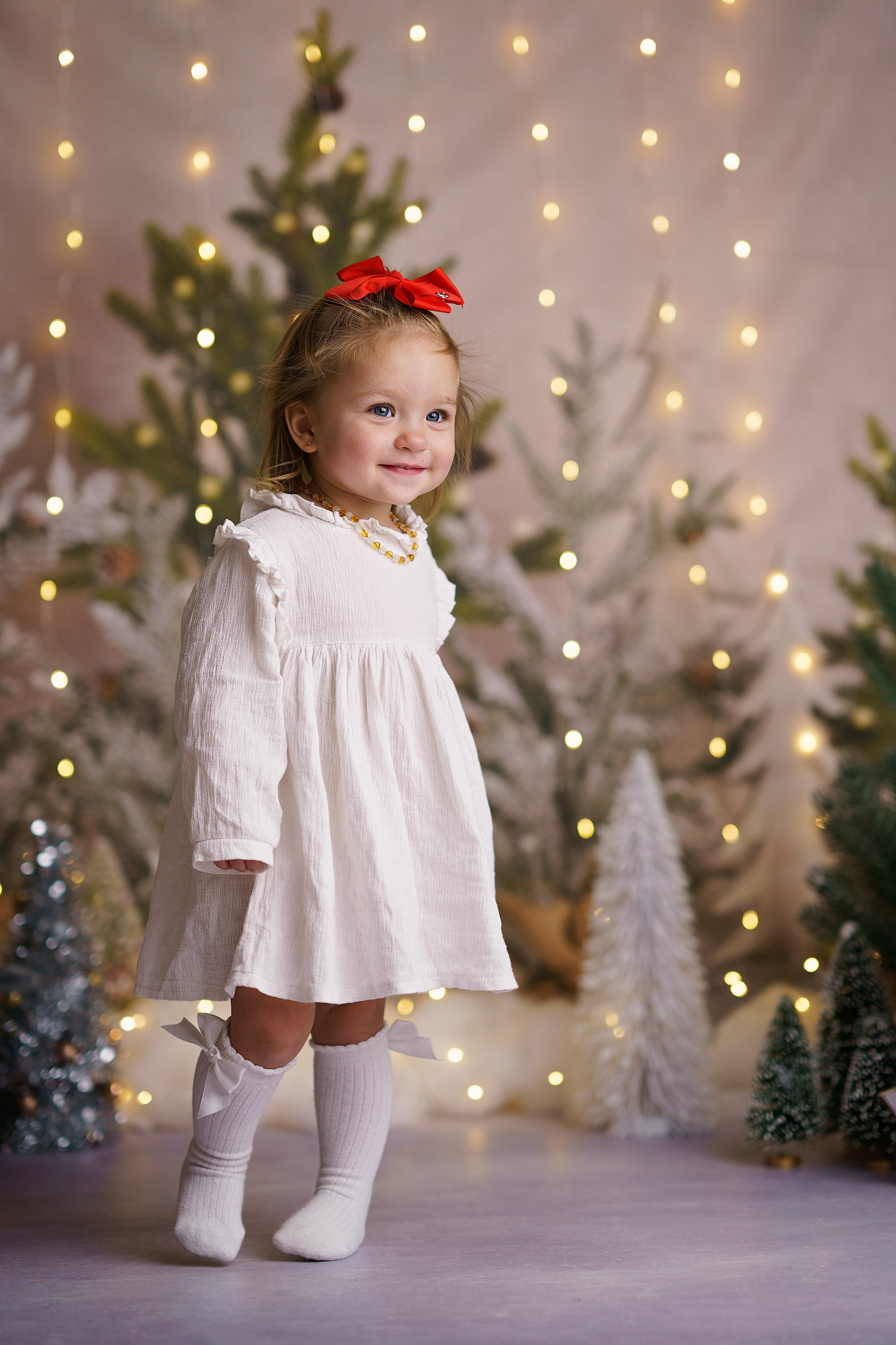 Christmas mini sessions 2025| Sydney. Newborn and family photographer. Hills District. Sydney