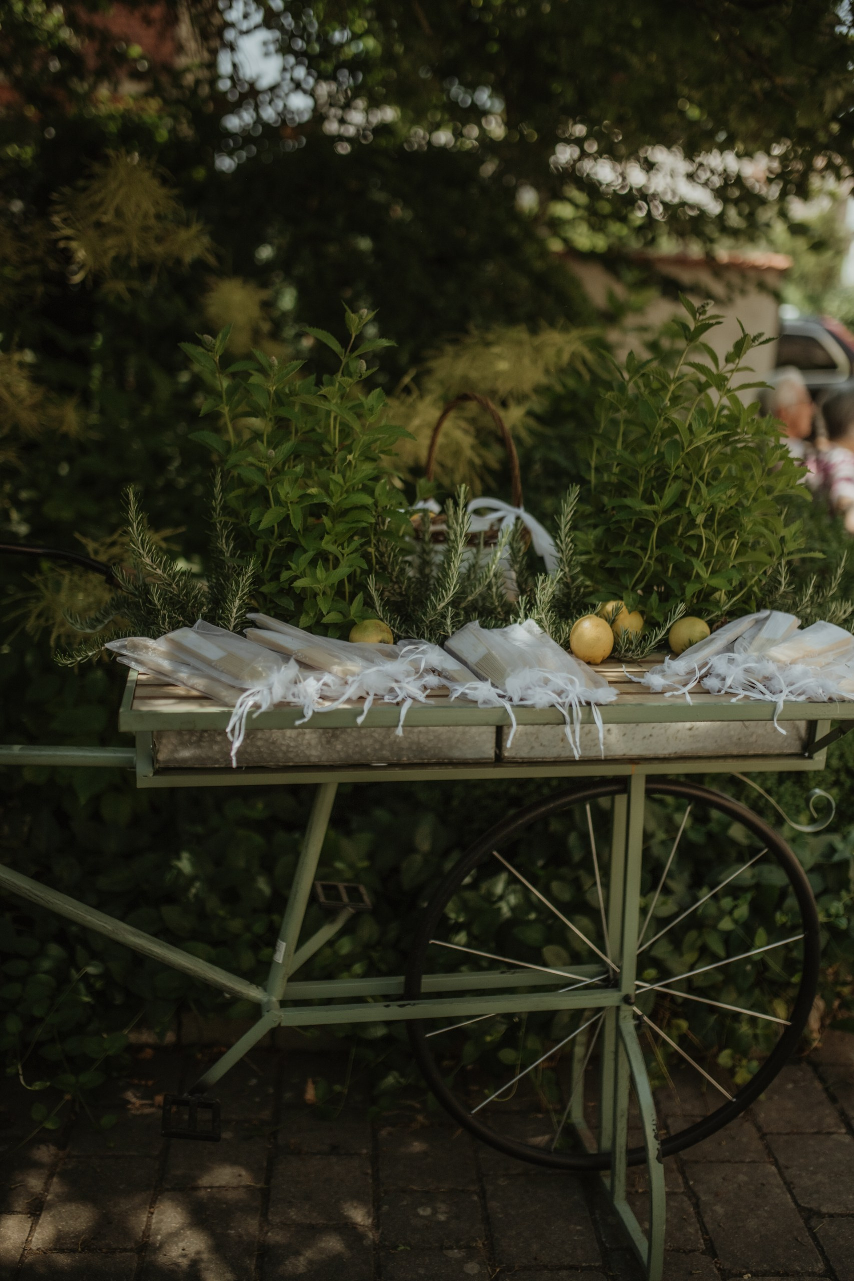 Freie Trauung Lara & Yannick | Landhaus Odaia | Fotograf Würzburg. Anna Saribekyan – Beste Hochzeitsfotografin in Würzburg, Top 10 in Deutschland