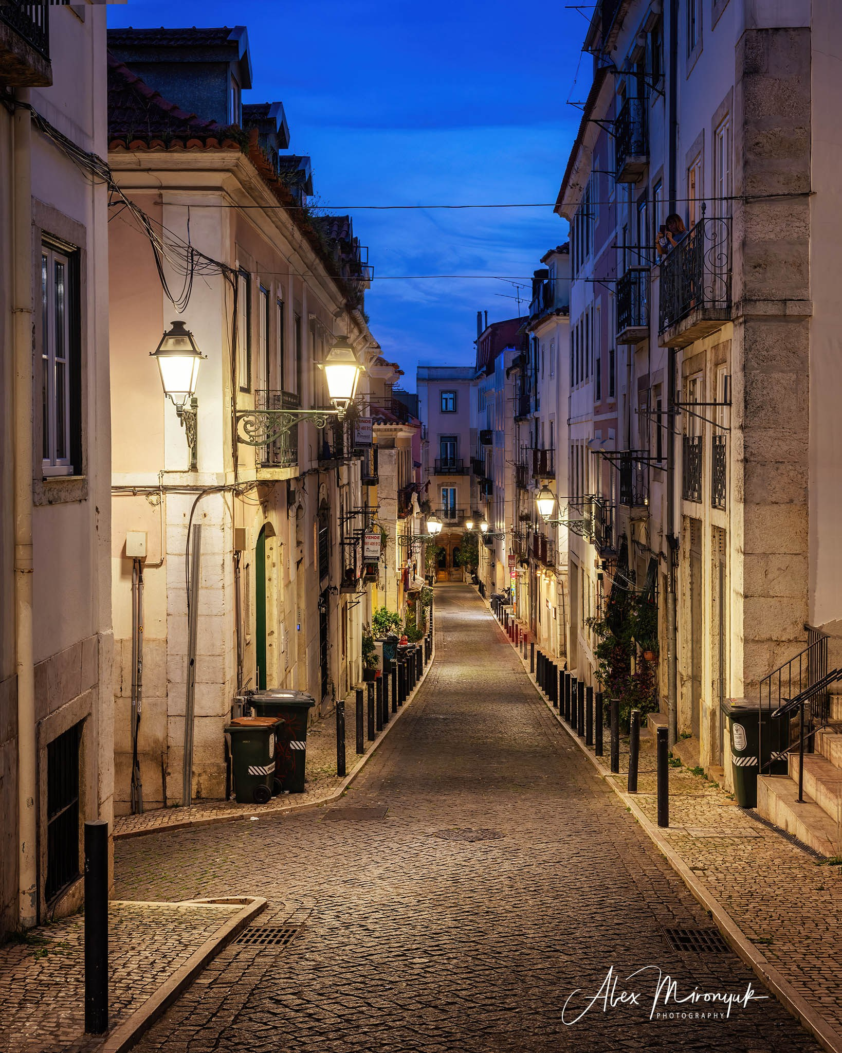 Portugal’s Scenic Treasures. Pet, Senior, Landscape, portrait studio, photographer in Miami and Sou