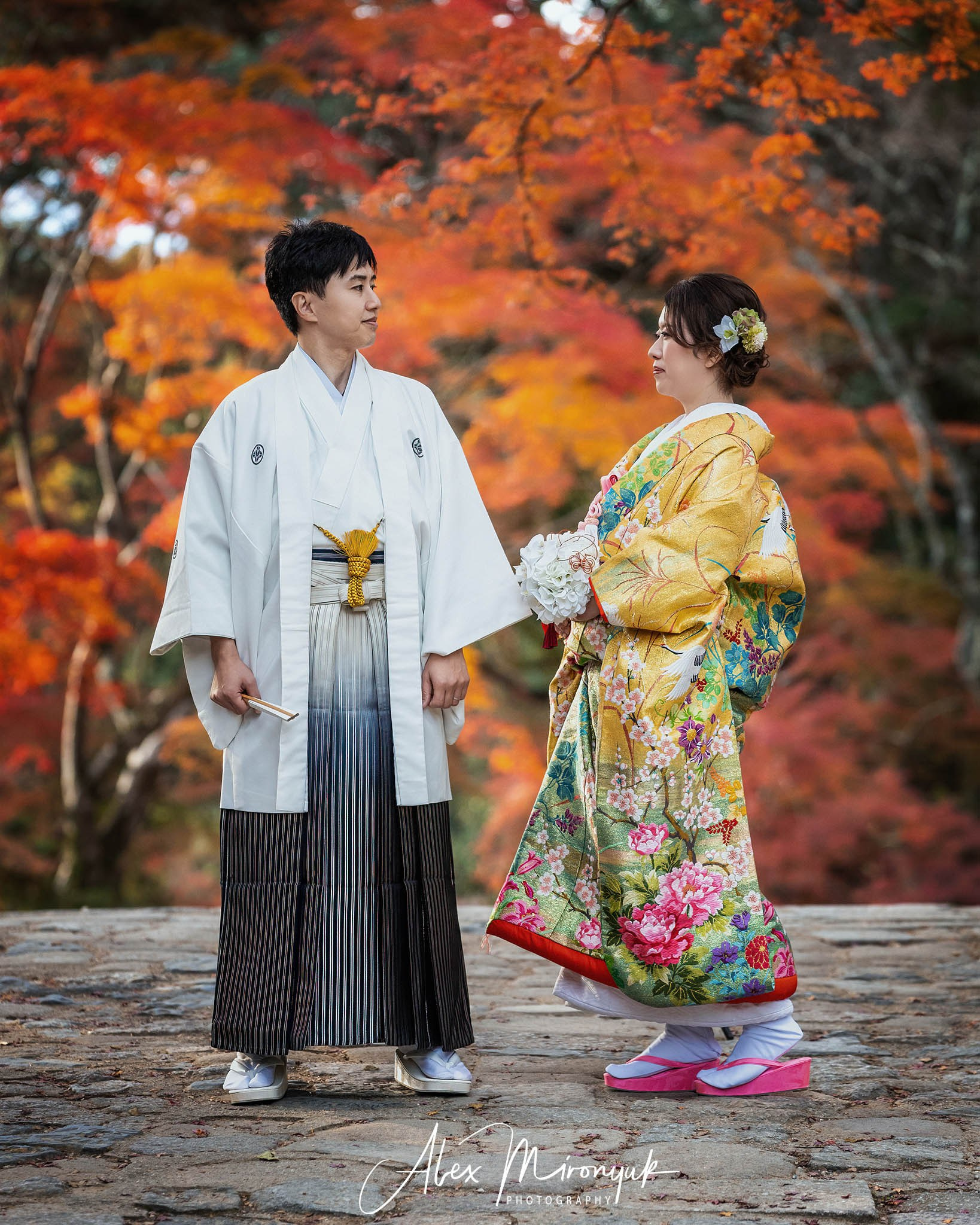 Autumn Colors of Japan. Pet, Senior, Landscape, portrait studio, photographer in Miami and Sou