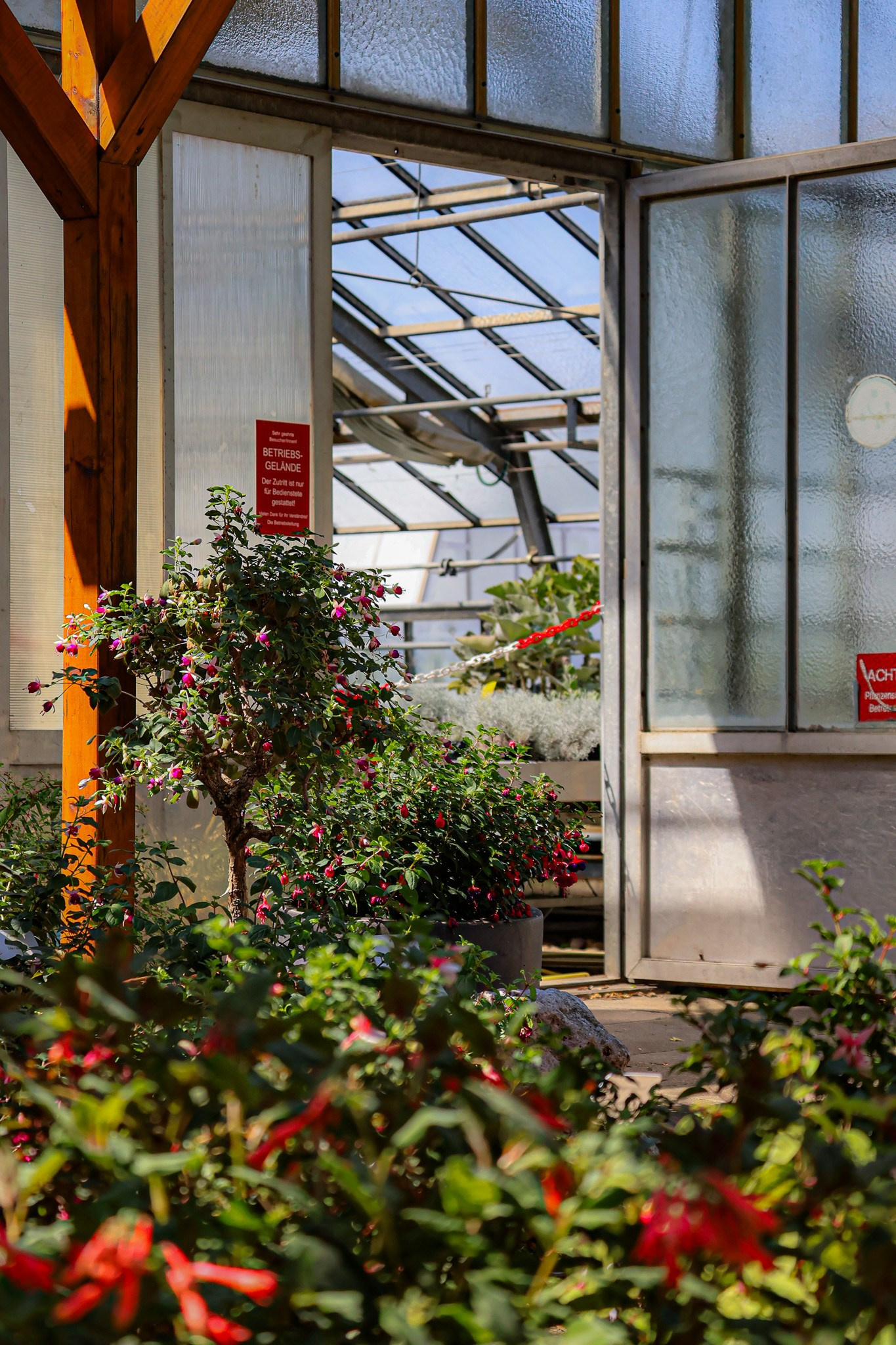 Kagran School Gardens