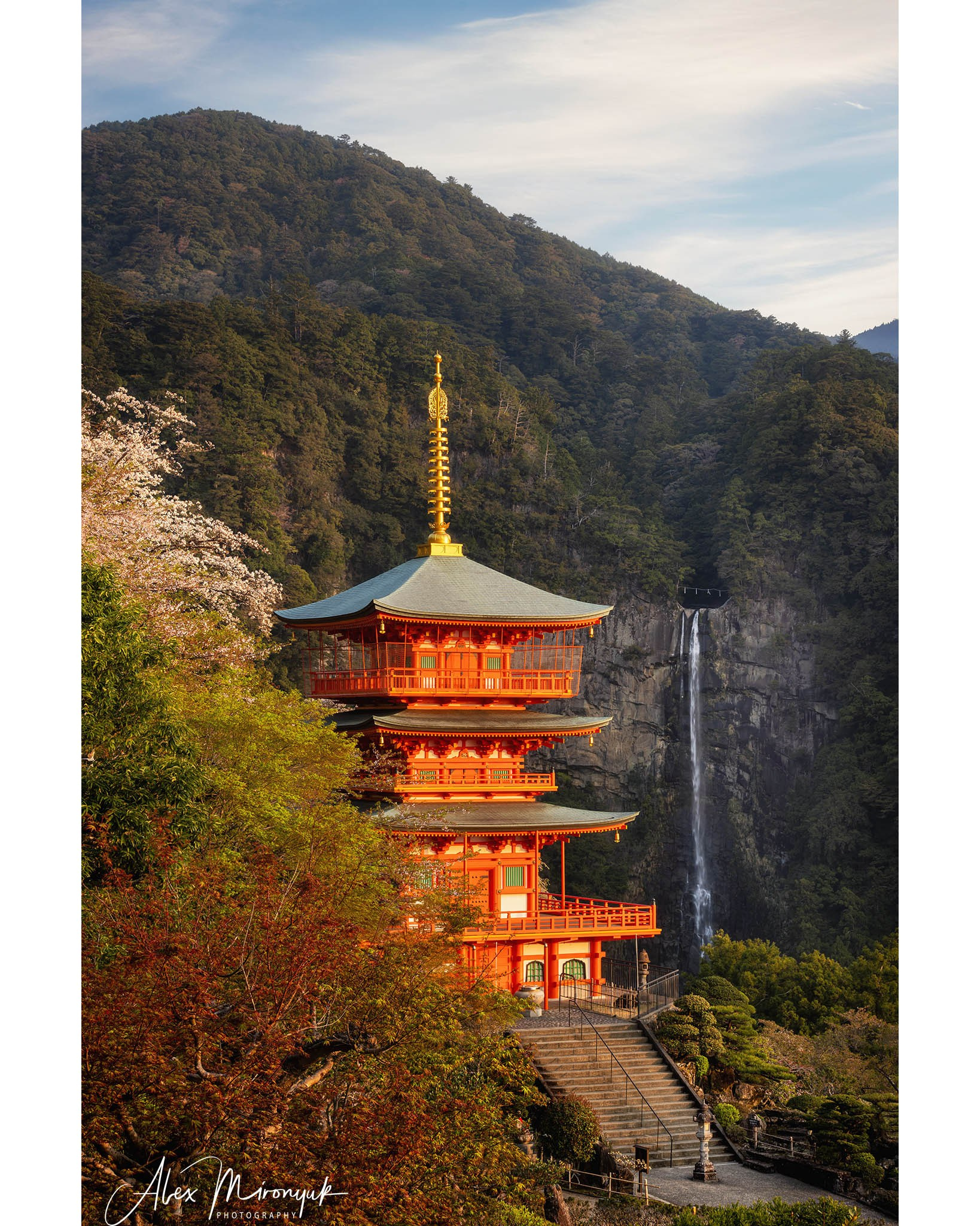 Autumn Colors of Japan. Pet, Senior, Landscape, portrait studio, photographer in Miami and Sou
