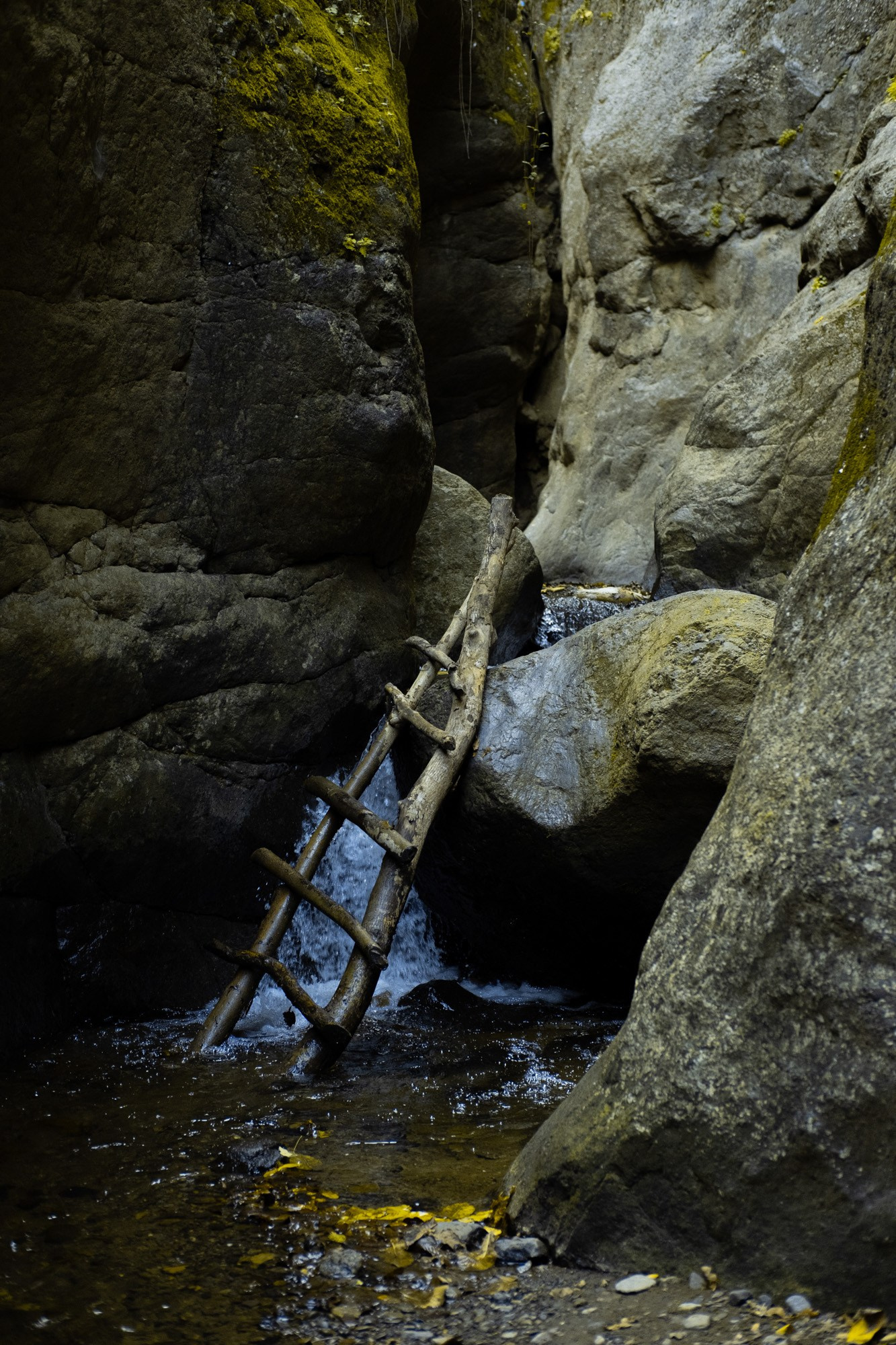 Təbiət Fotoqrafiyası və Portret Çəkilişləri. Bakıda Peşəkar Tədbir, Love Story və Təbiət Fotoqrafı — Elşən Baba