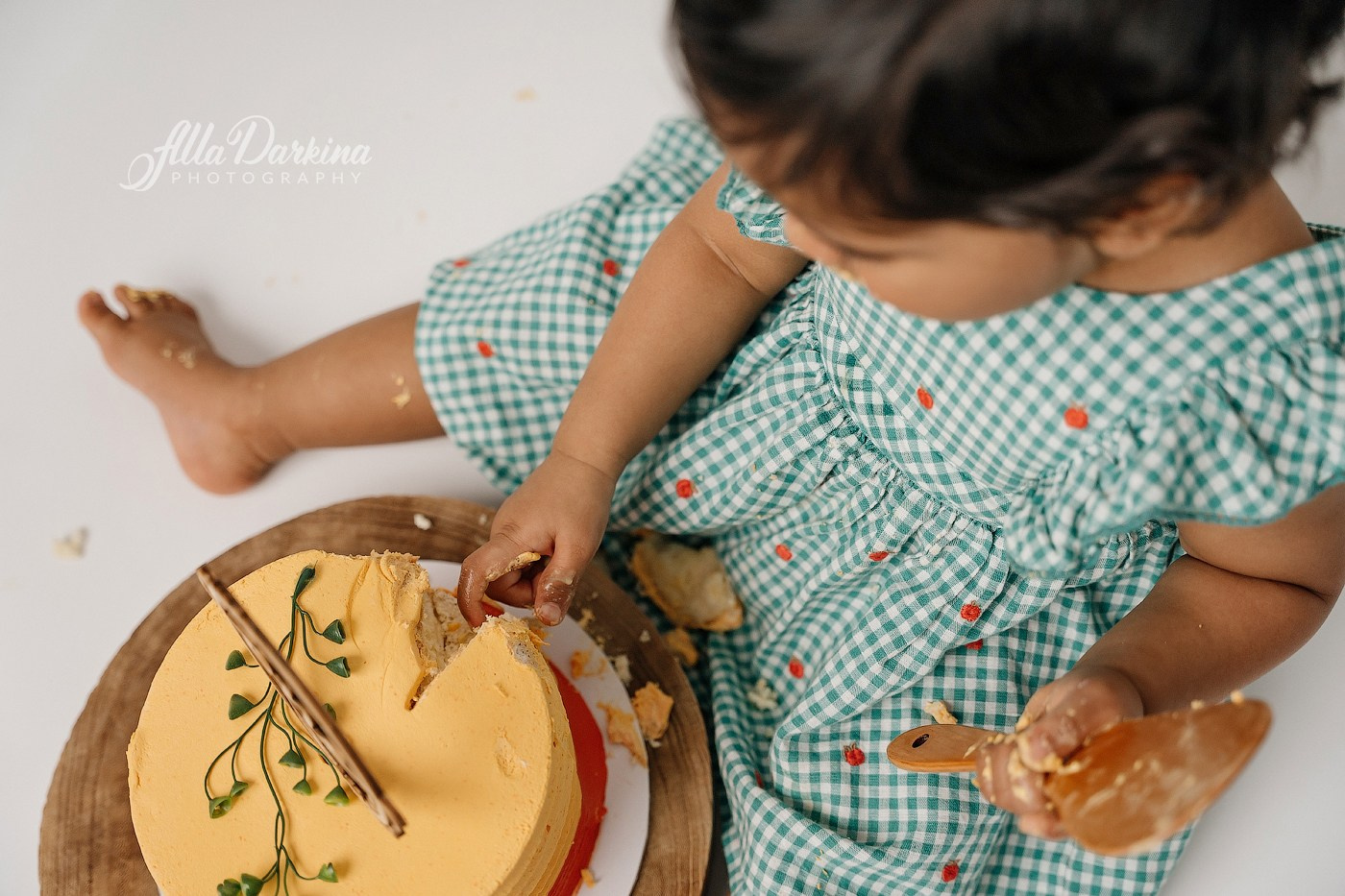 First birthday celebration. Newborn and family photographer. Hills District. Sydney